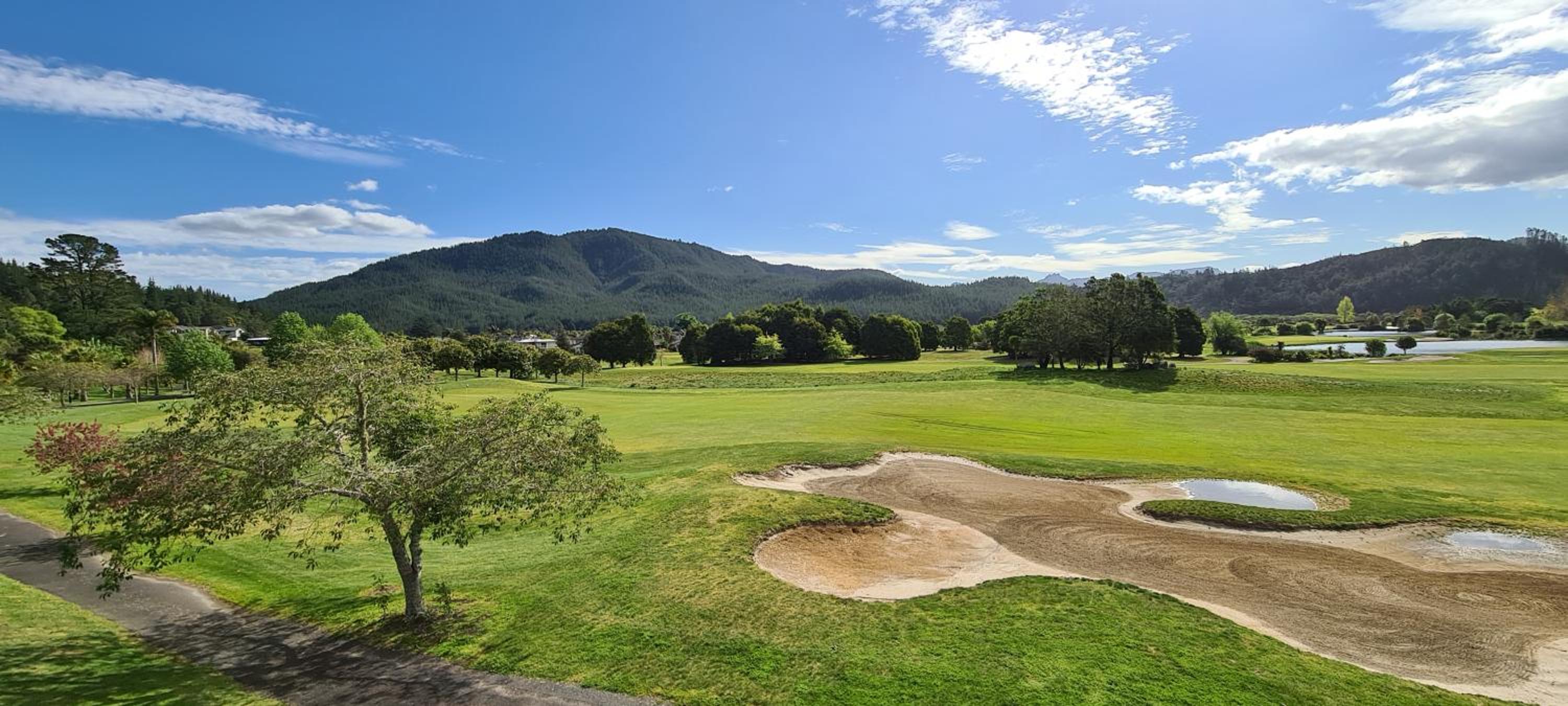 Augusta Grand Pauanui, a Golfers Dream House view 3