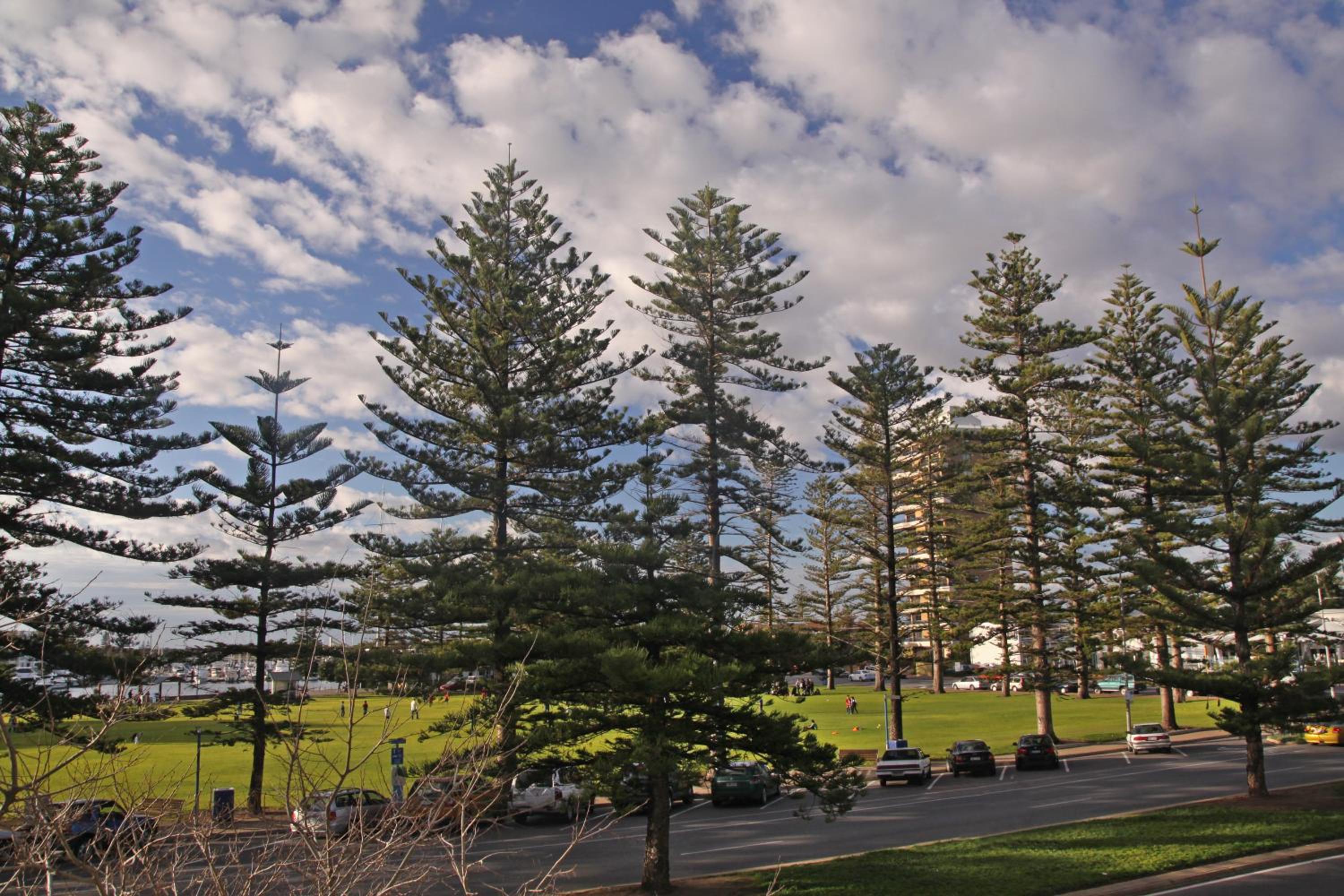 Bayview Apartments Glenelg