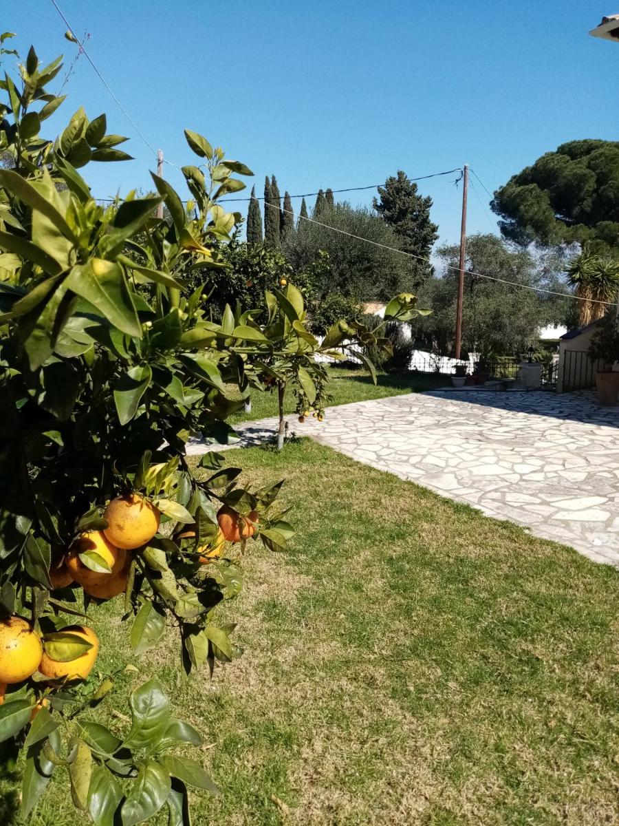 Lemoni Corfu House photo 3