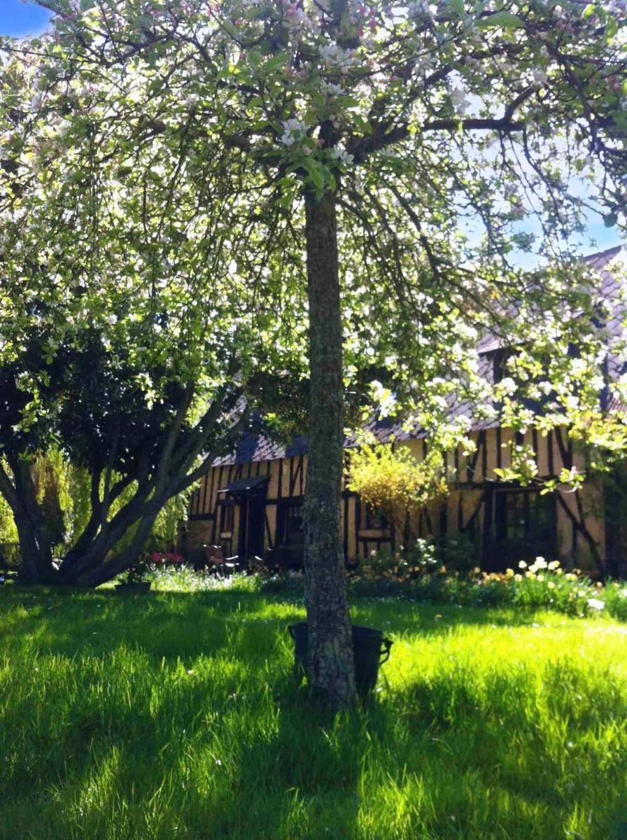 Photo 8