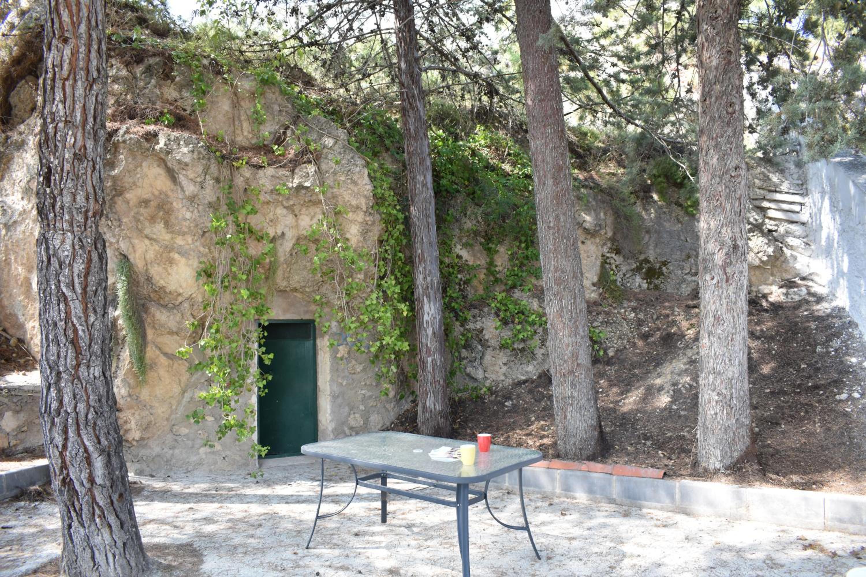 Photo 14
