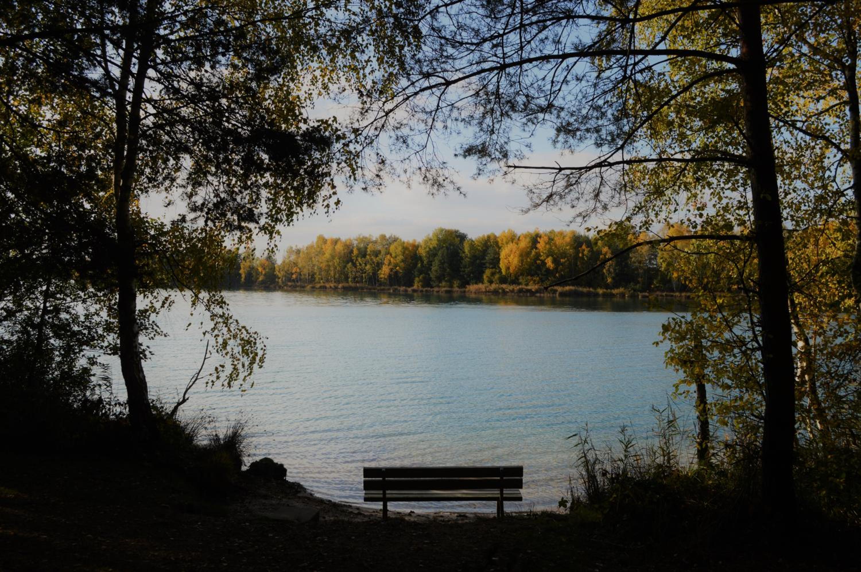 Photo 42