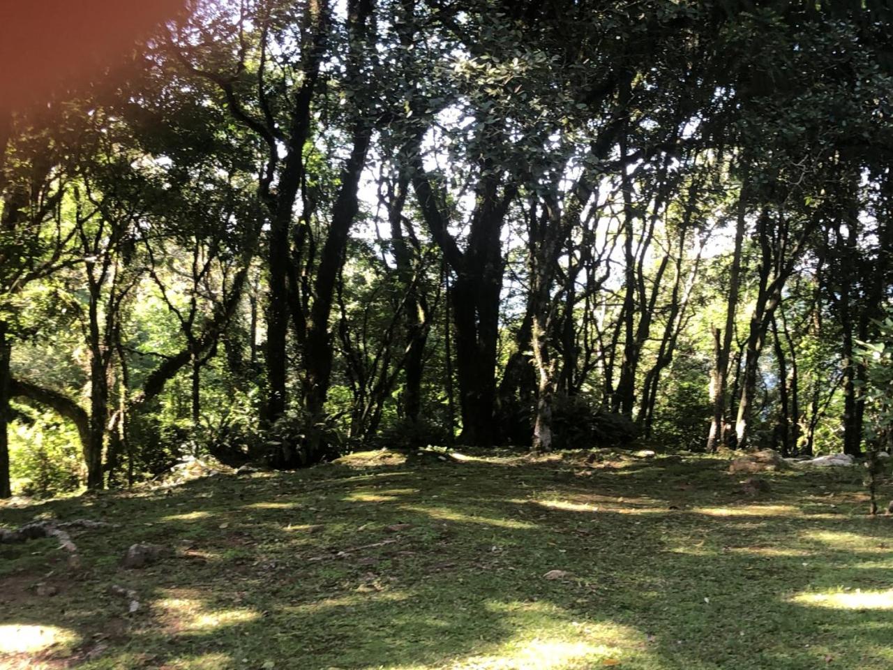 Refúgio da natureza