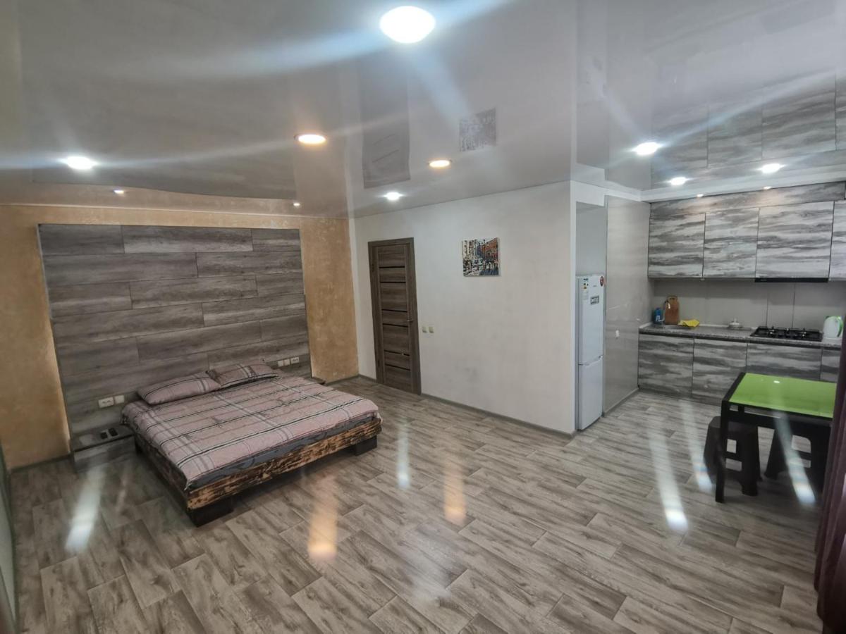 Spacious Studio Apartment view 4