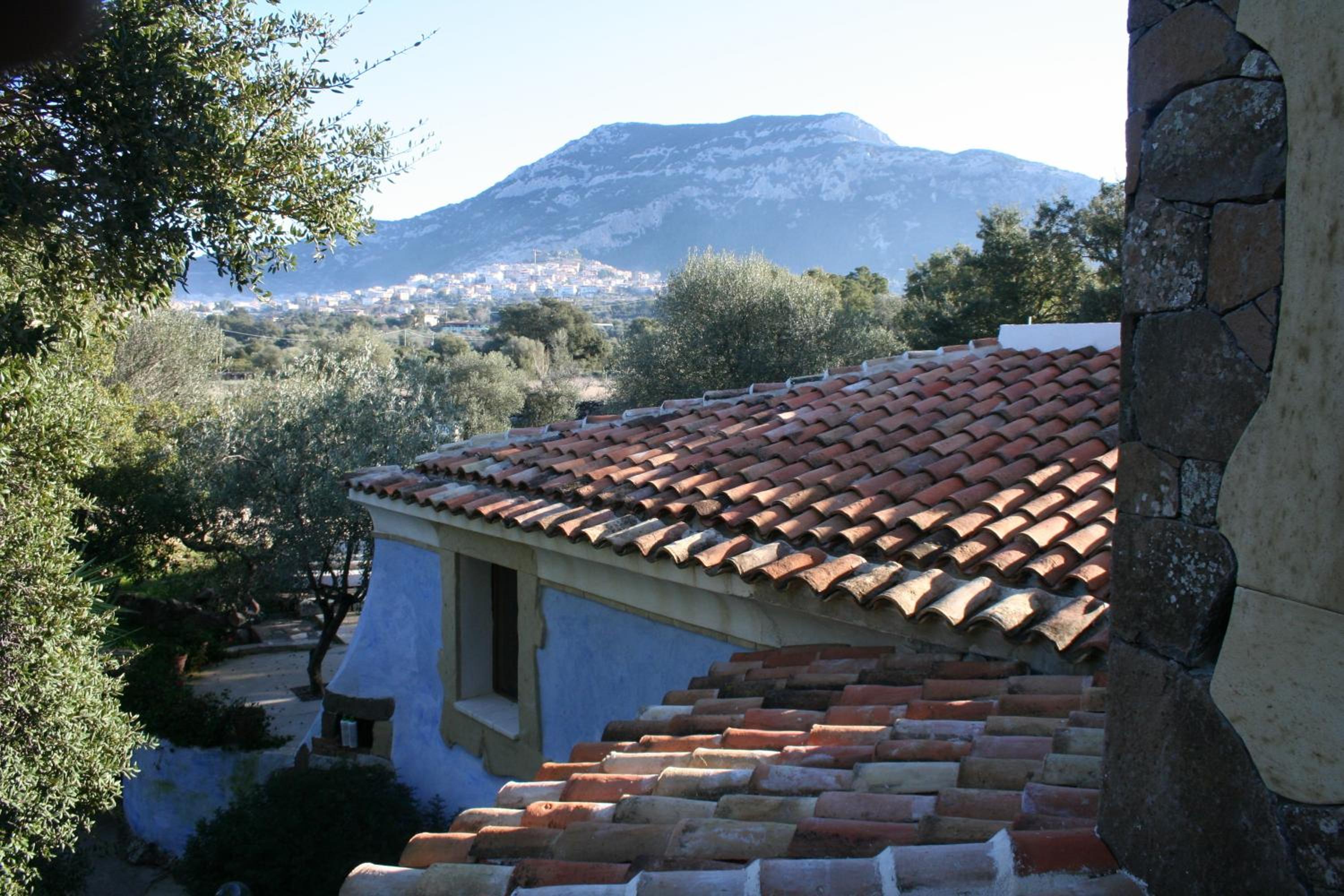 Photo 29