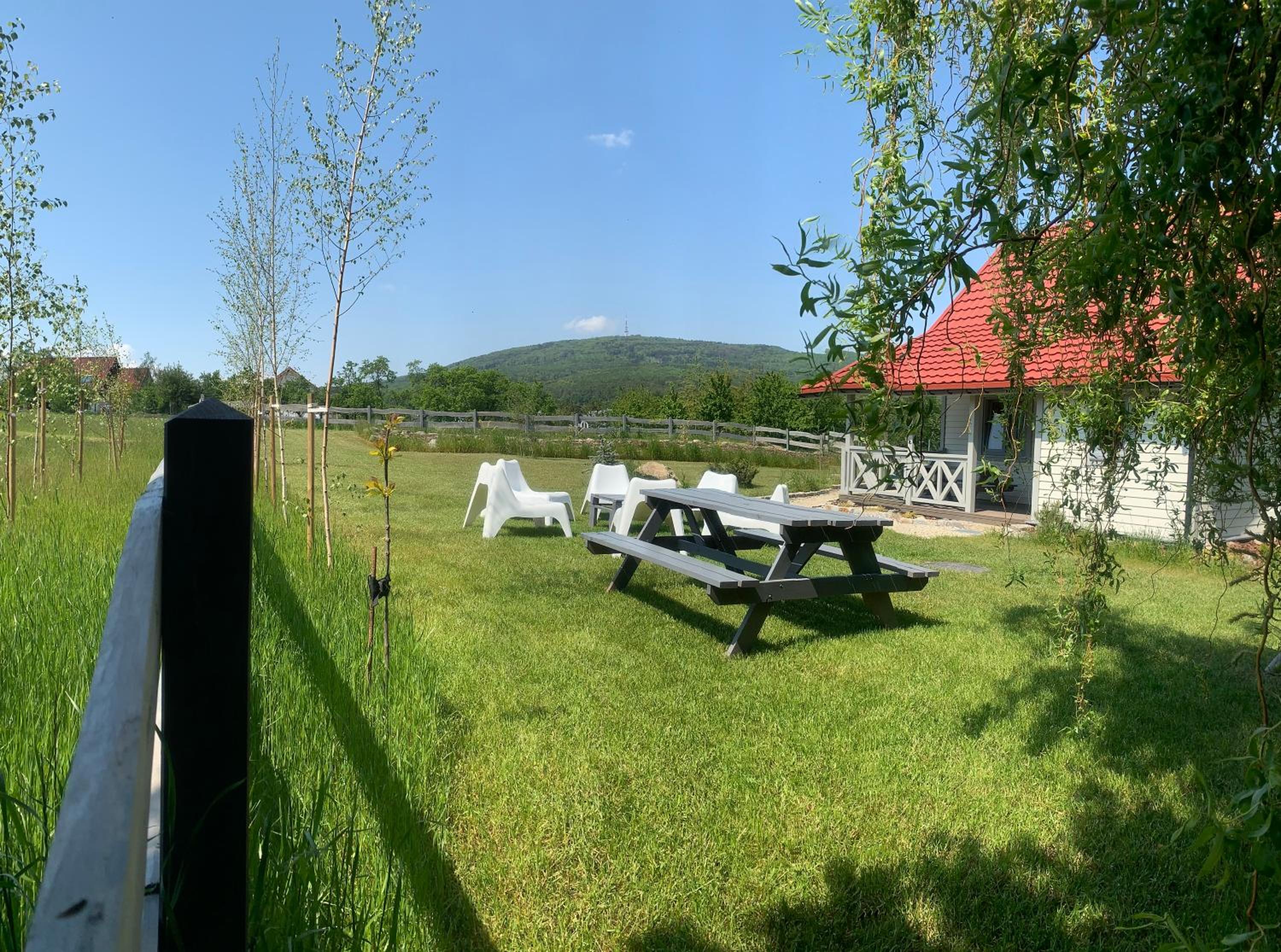 Photo 42