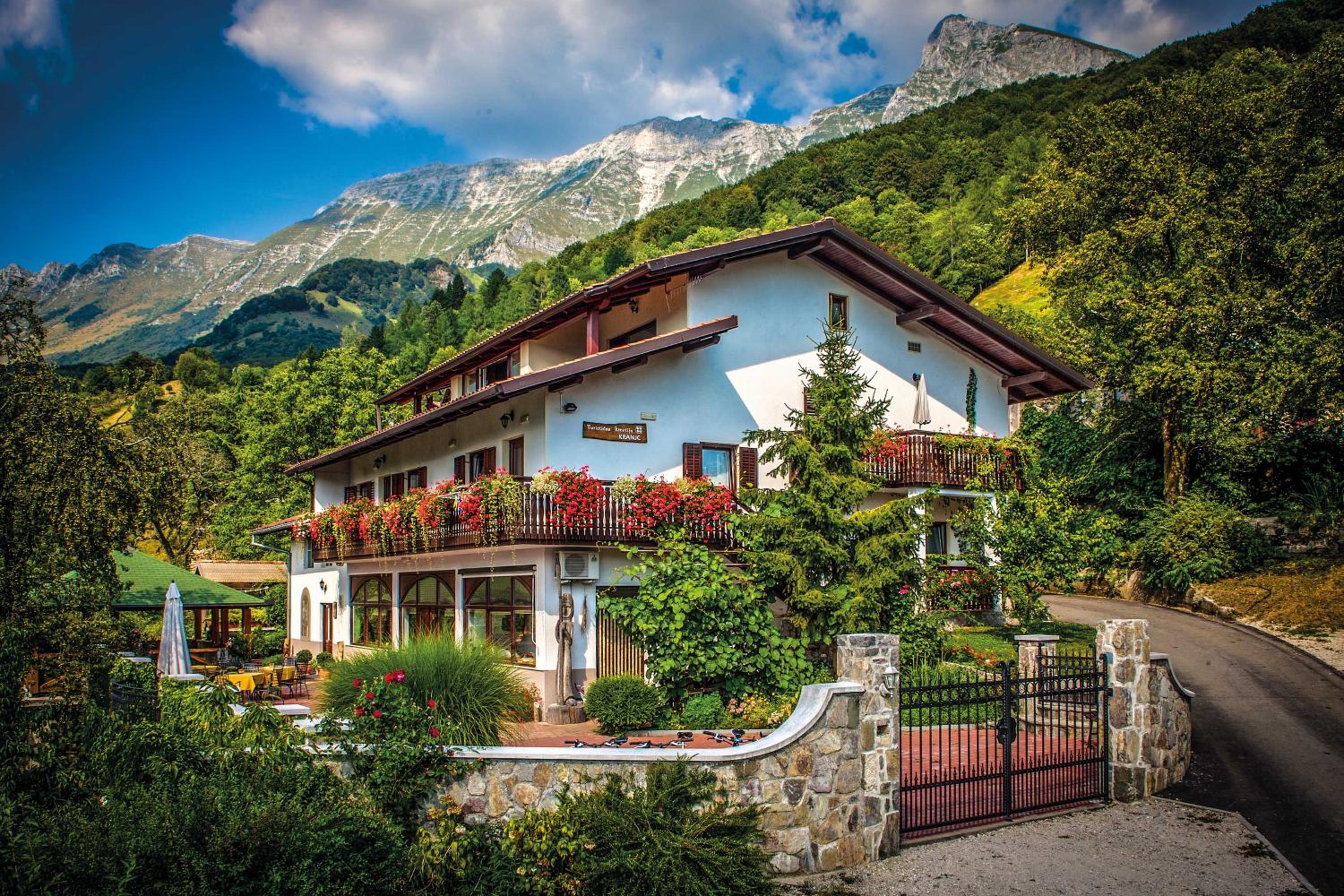 Glamping Kranjc view 5