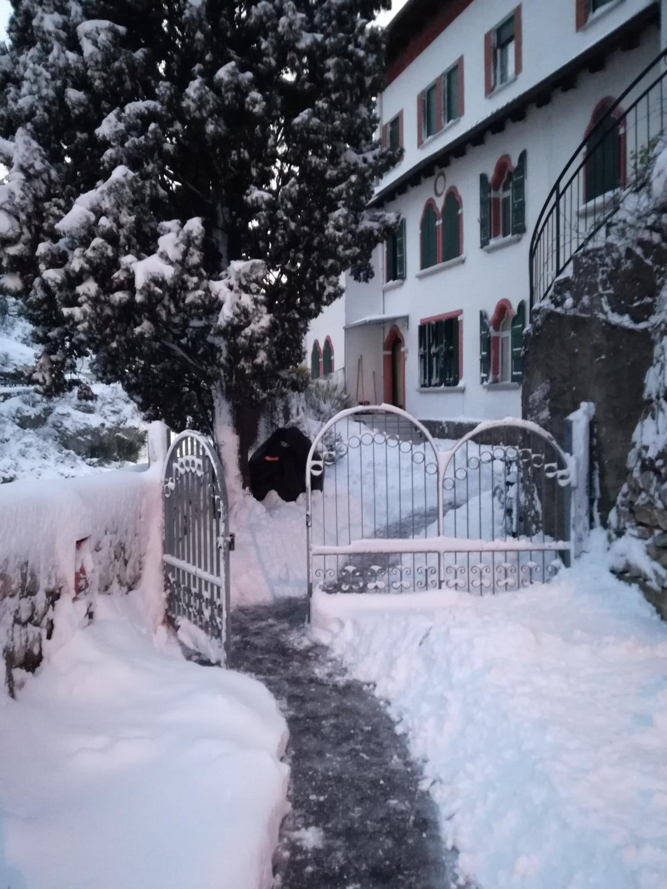 Garden Belvedere B&B
