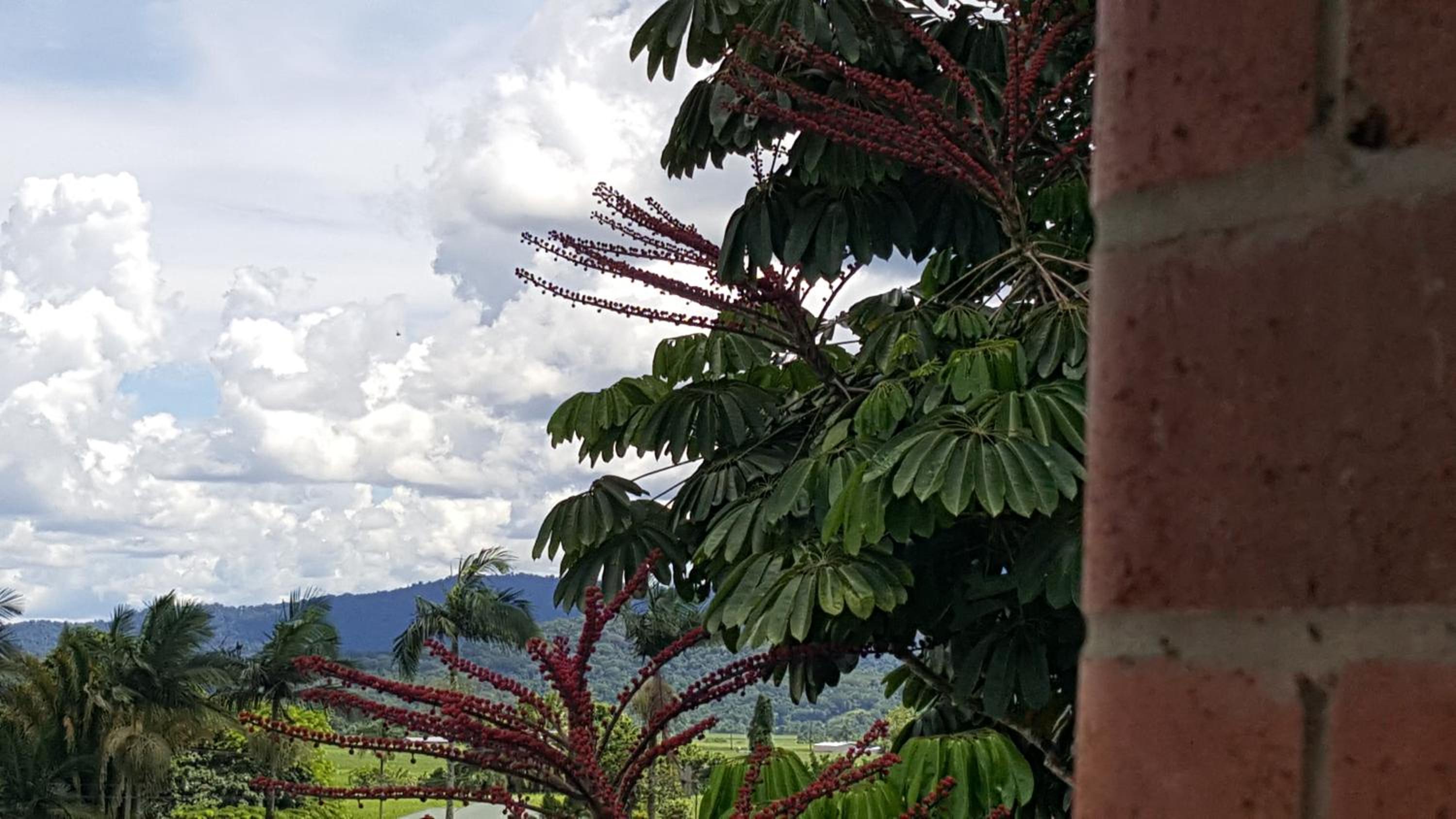 Babinda Quarters