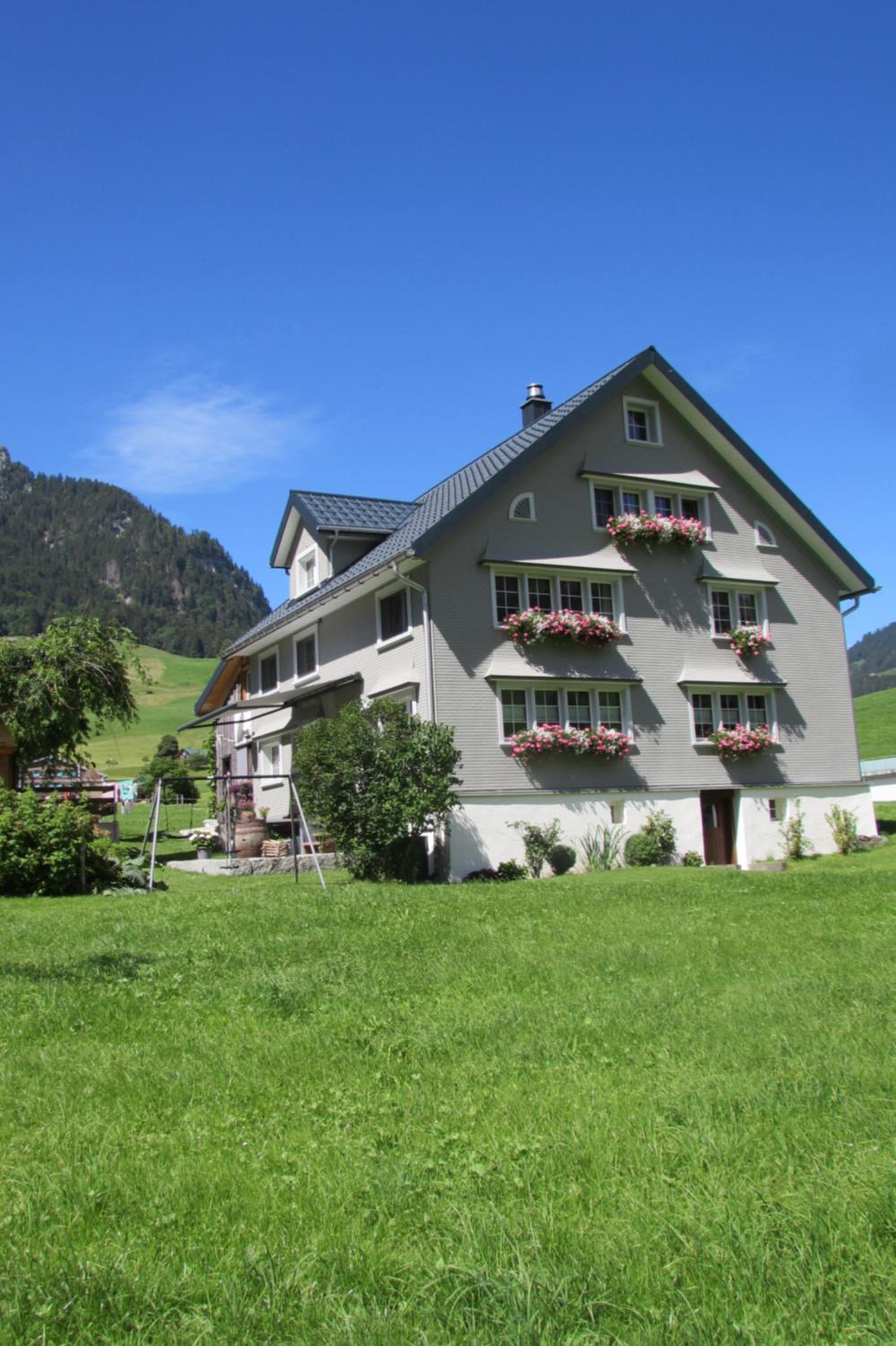Wies view 5