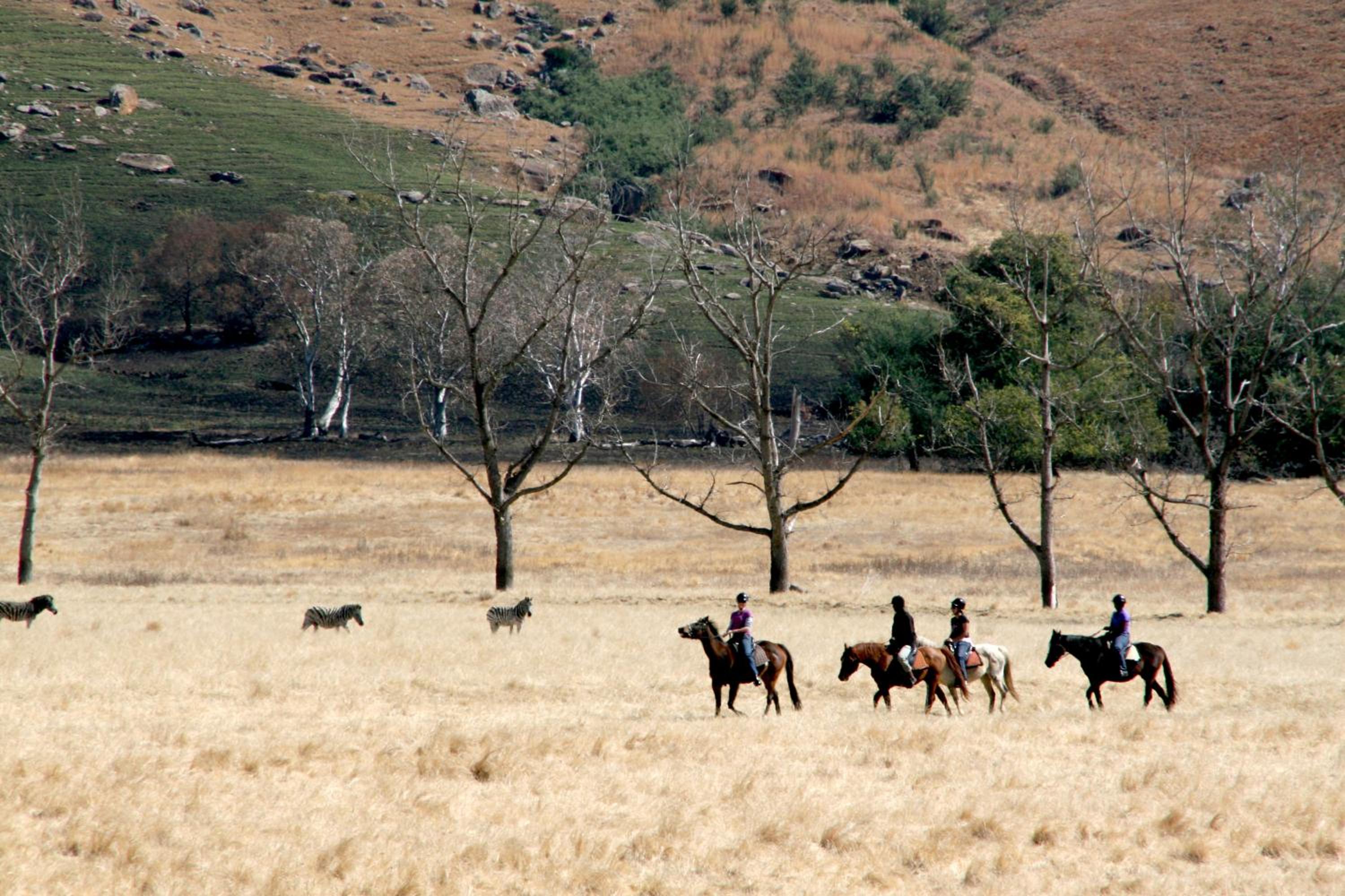 Sani Valley Nature Lodges