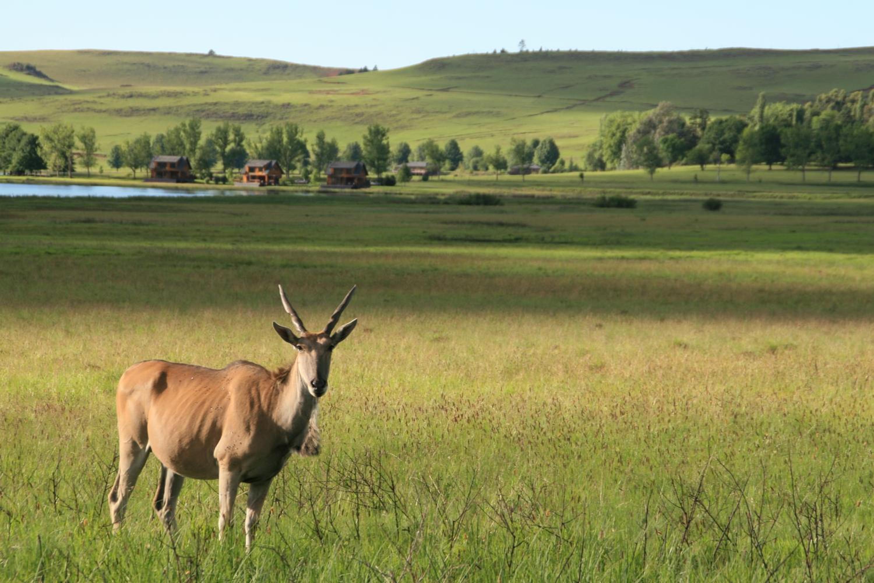 Sani Valley Nature Lodges