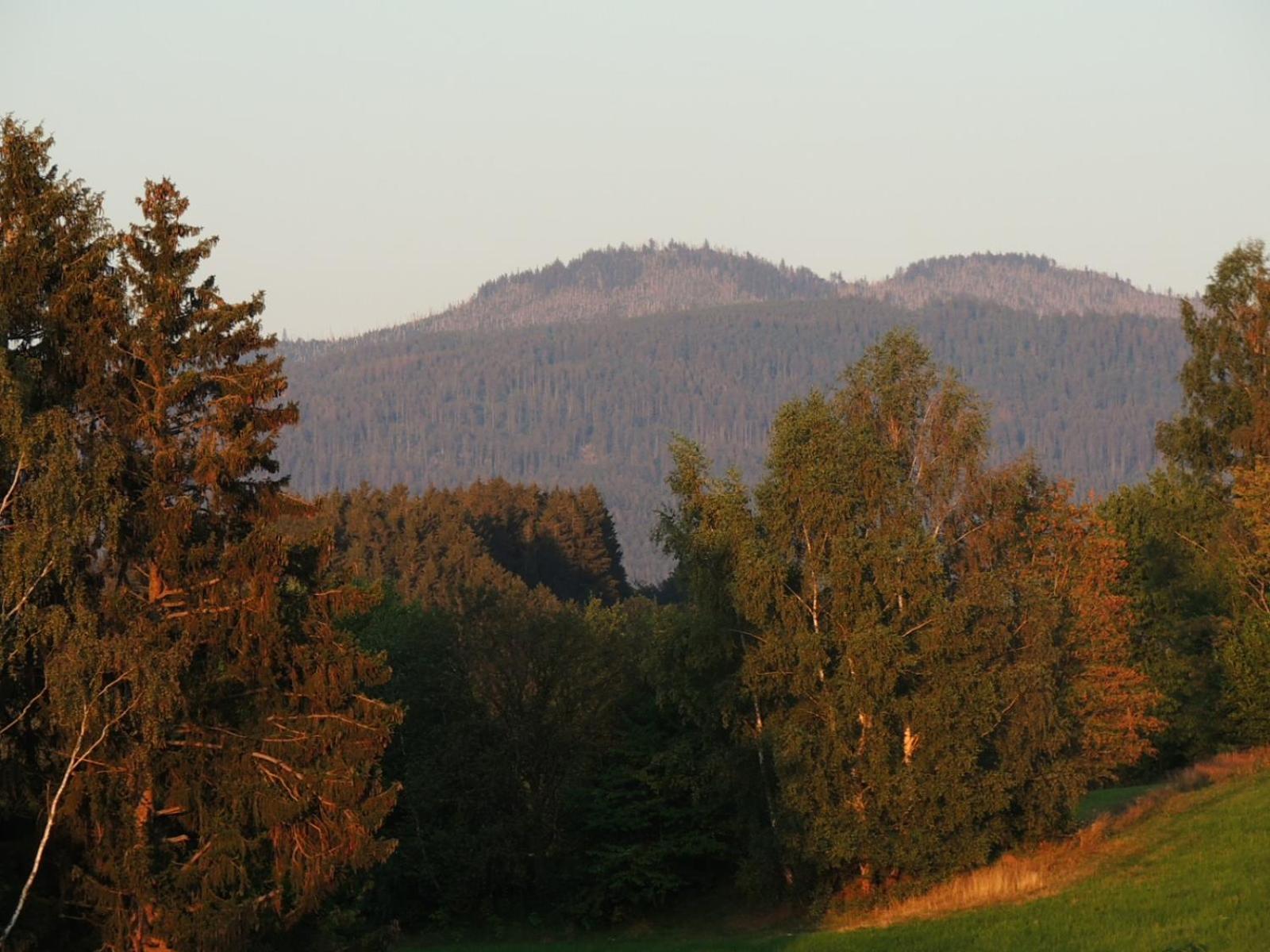 FW Zauberblick