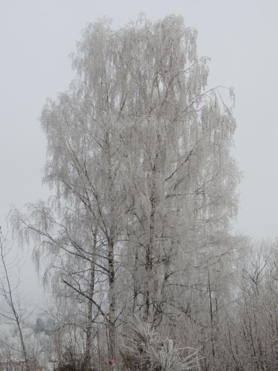 FW Zauberblick