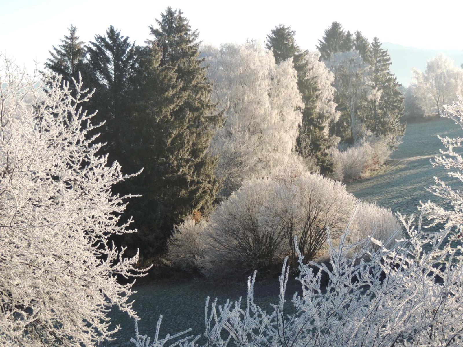FW Zauberblick