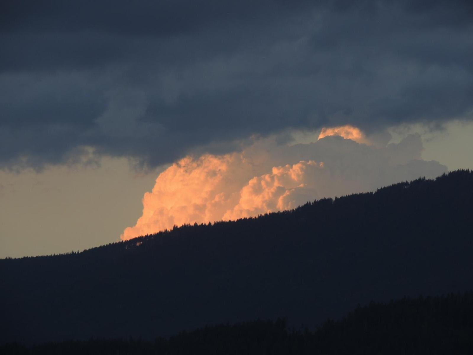 FW Zauberblick