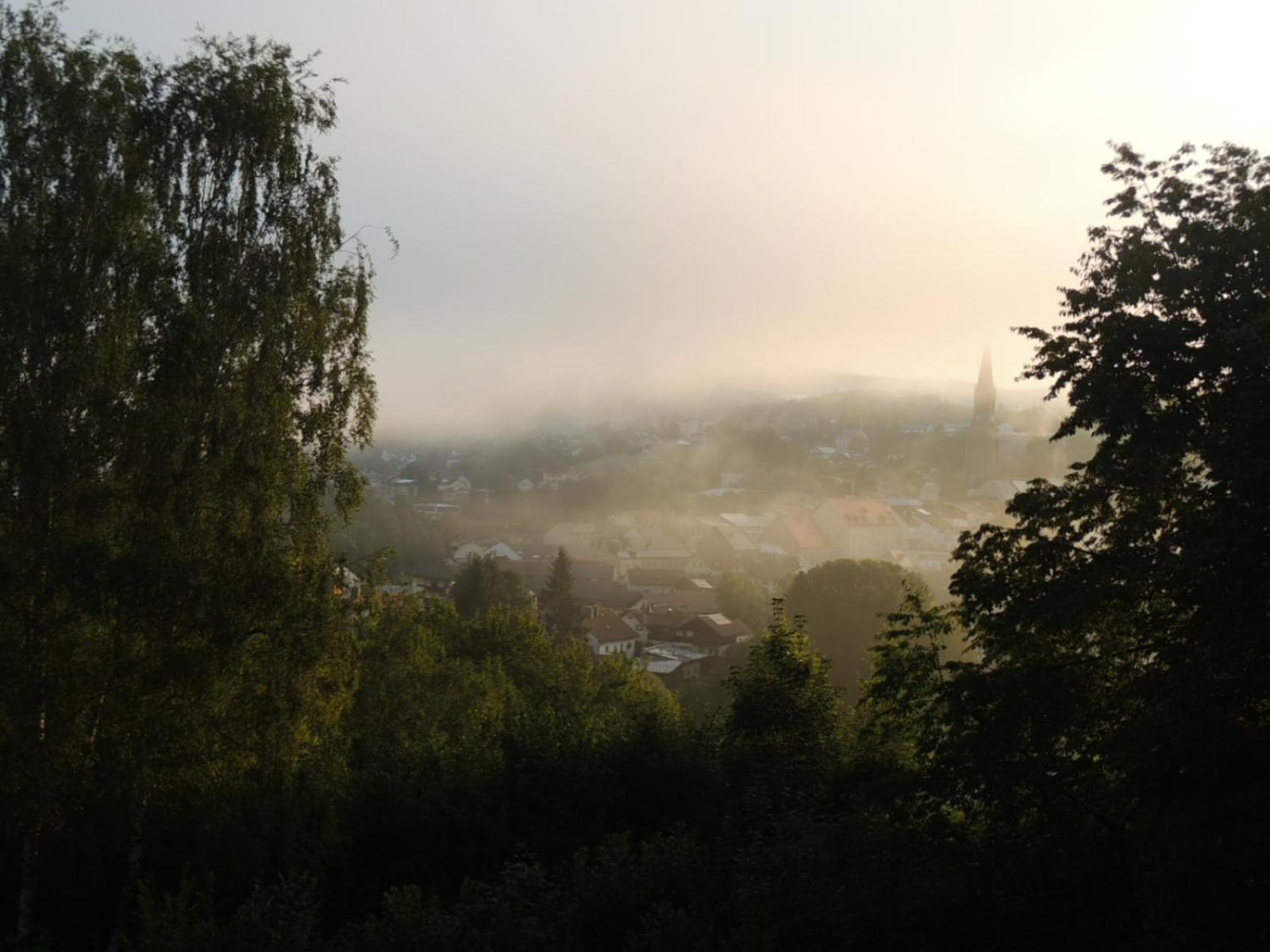 FW Zauberblick