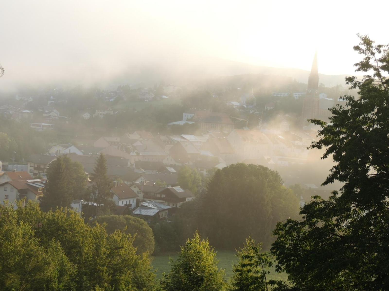 FW Zauberblick