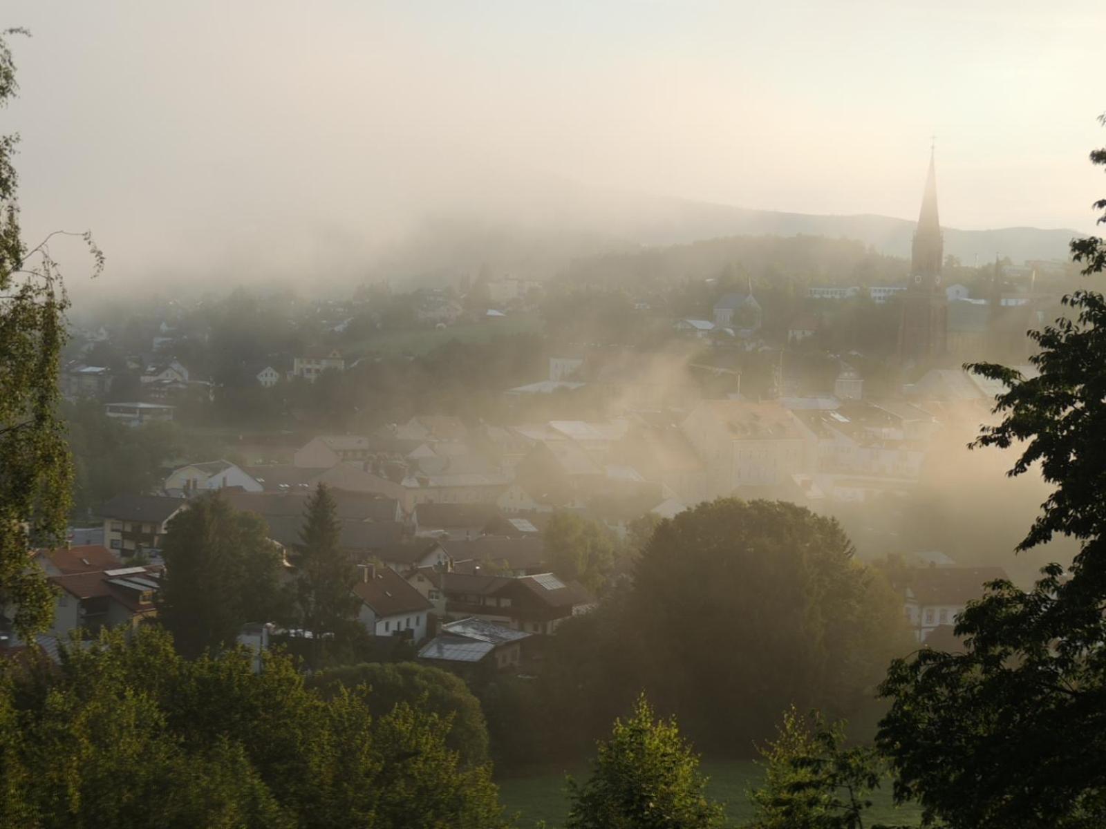 FW Zauberblick