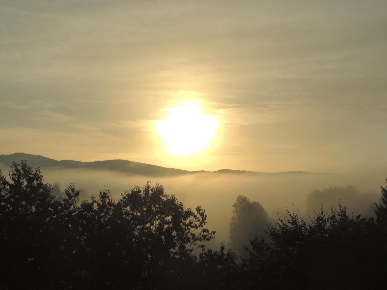 FW Zauberblick