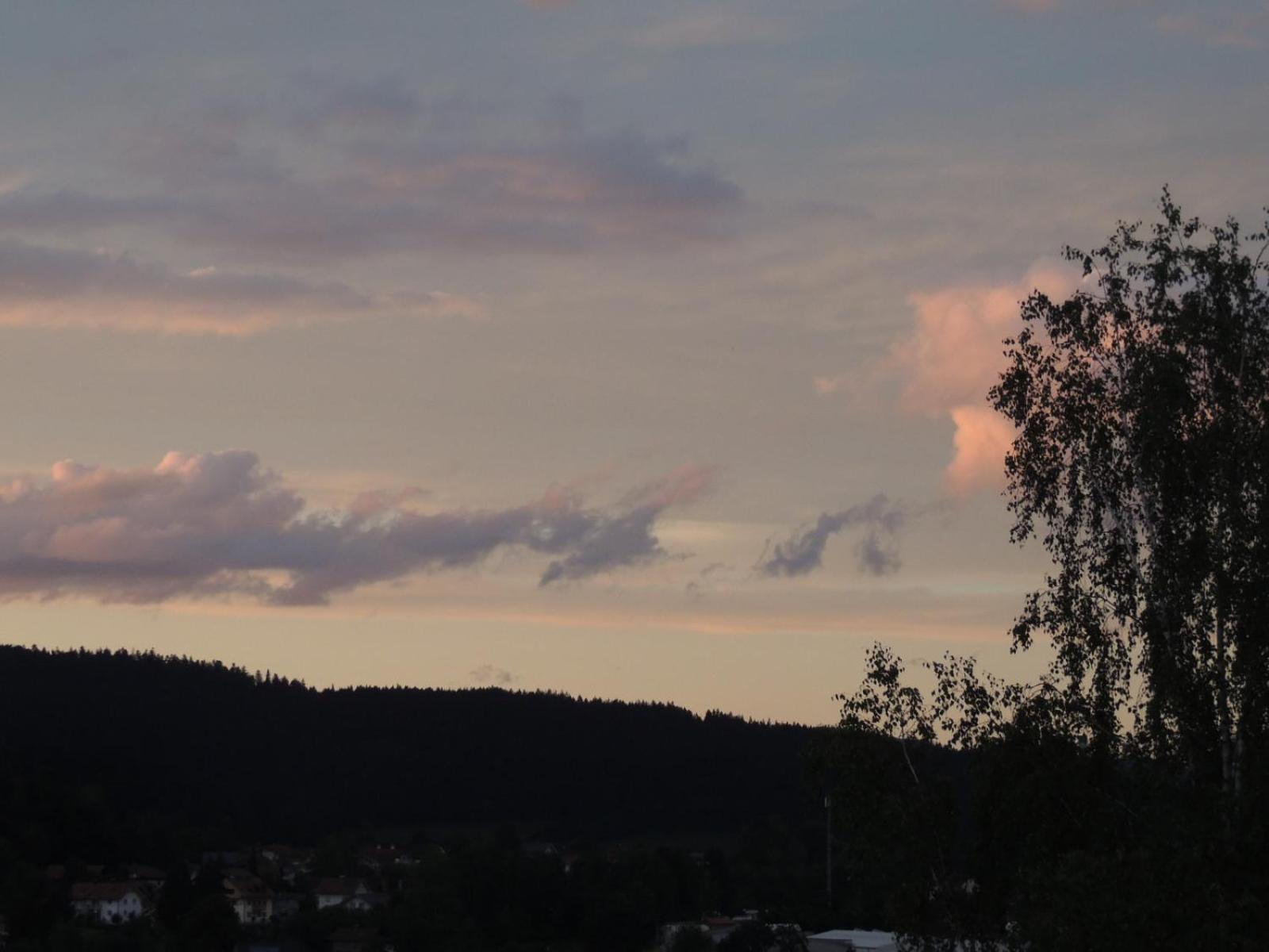 FW Zauberblick