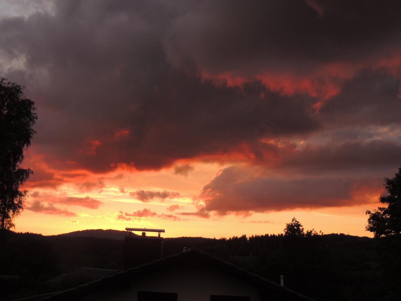 FW Zauberblick