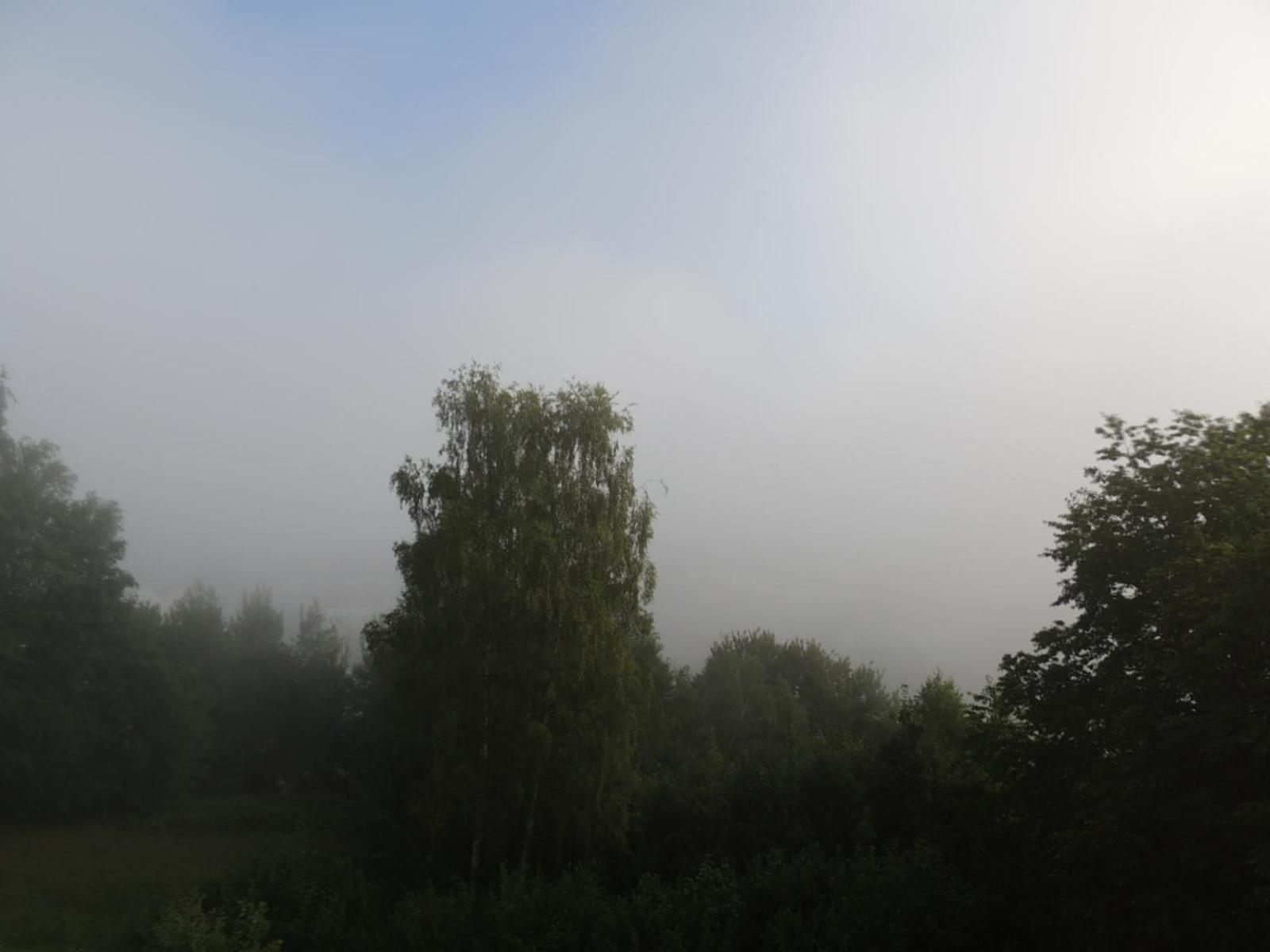 FW Zauberblick