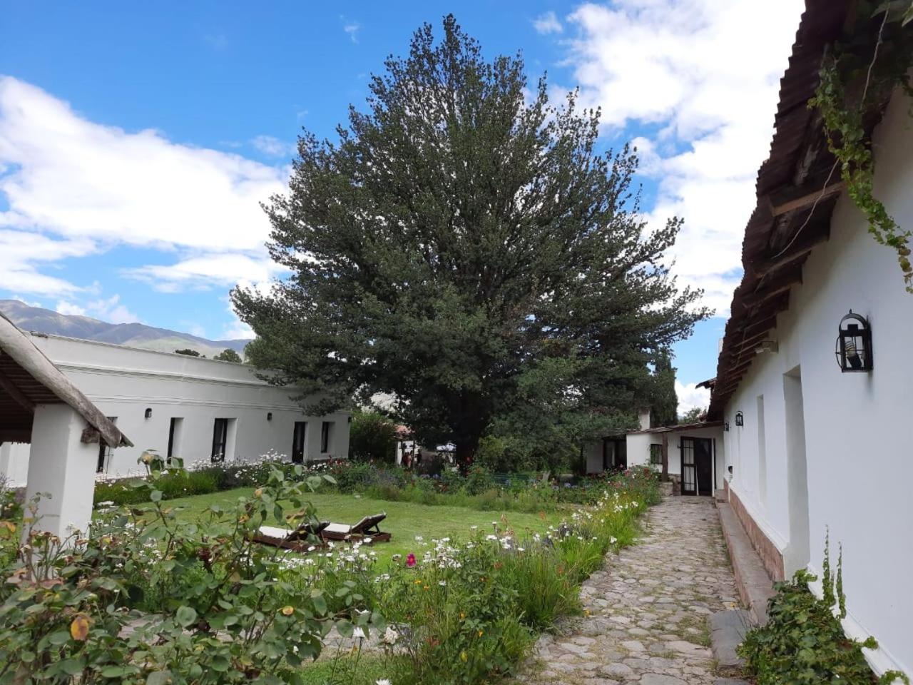 Estancia Las Tacanas