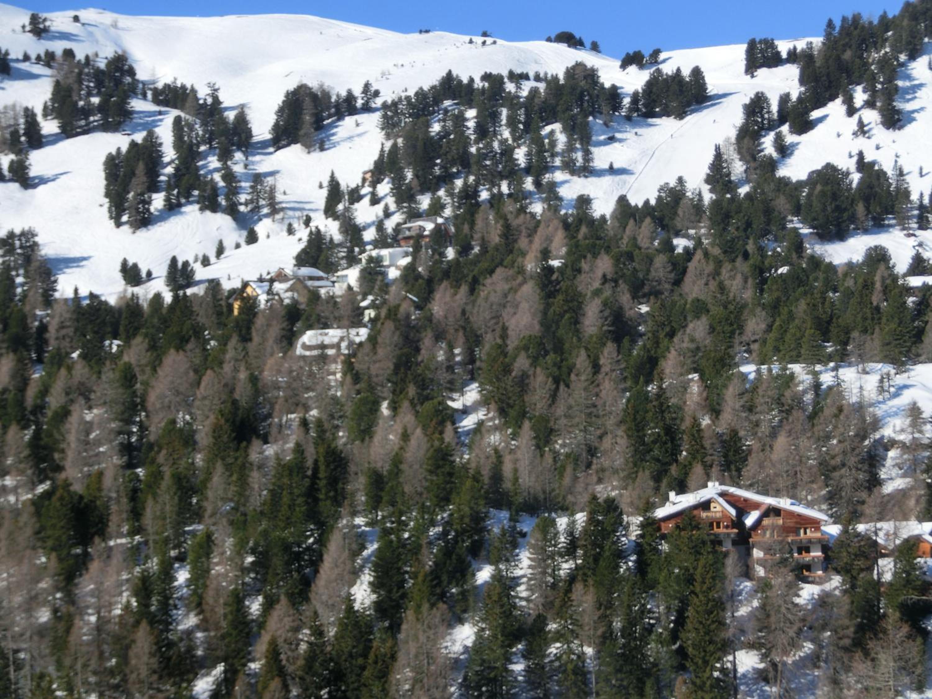 ALPENFLAIR Appartment mit Aussicht zum träumen