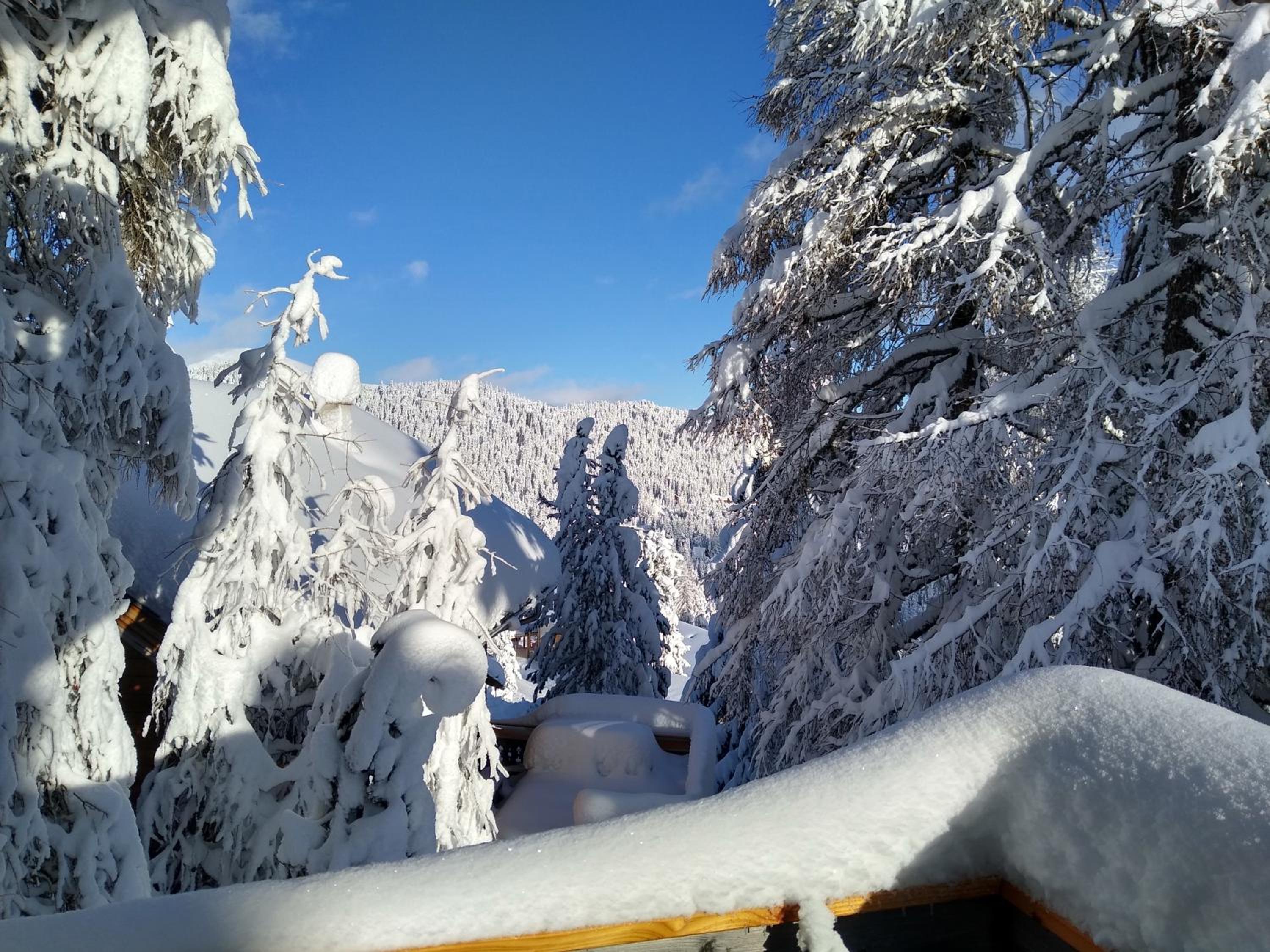 ALPENFLAIR Appartment mit Aussicht zum träumen