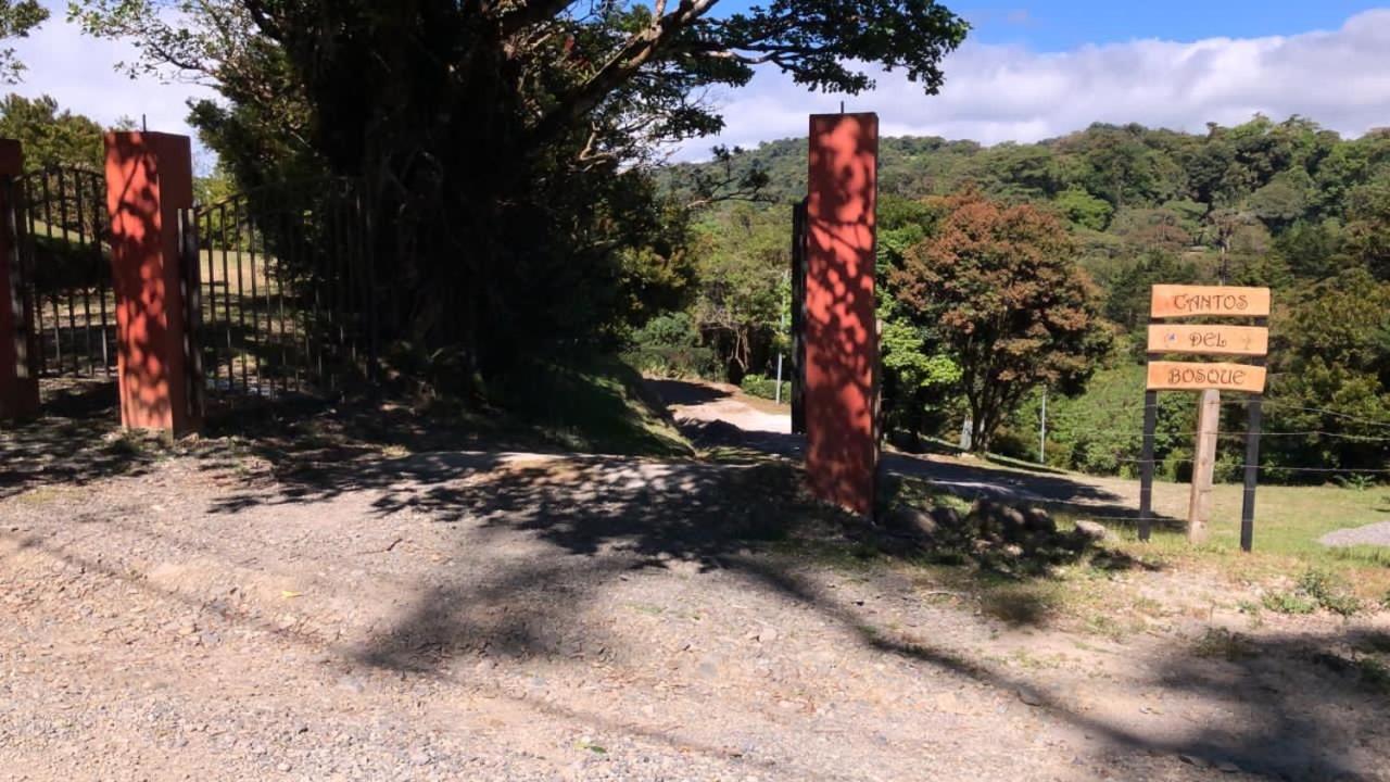 Cantos Del Bosque