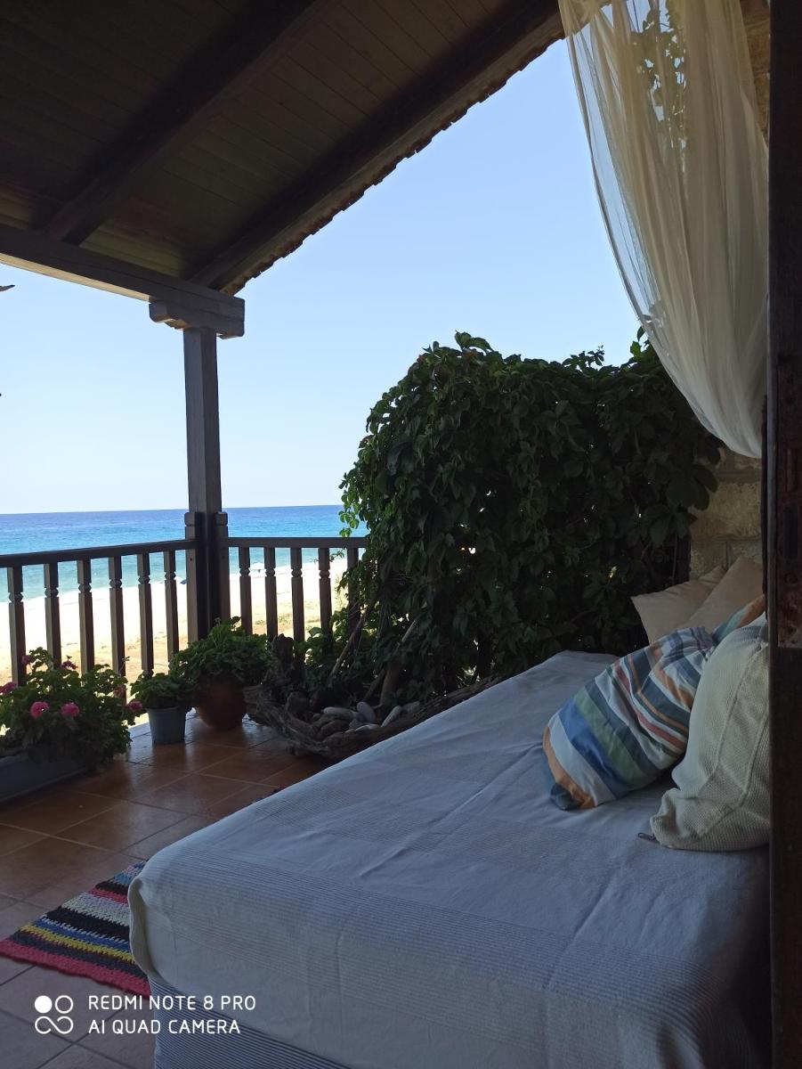 Dovas House view 5