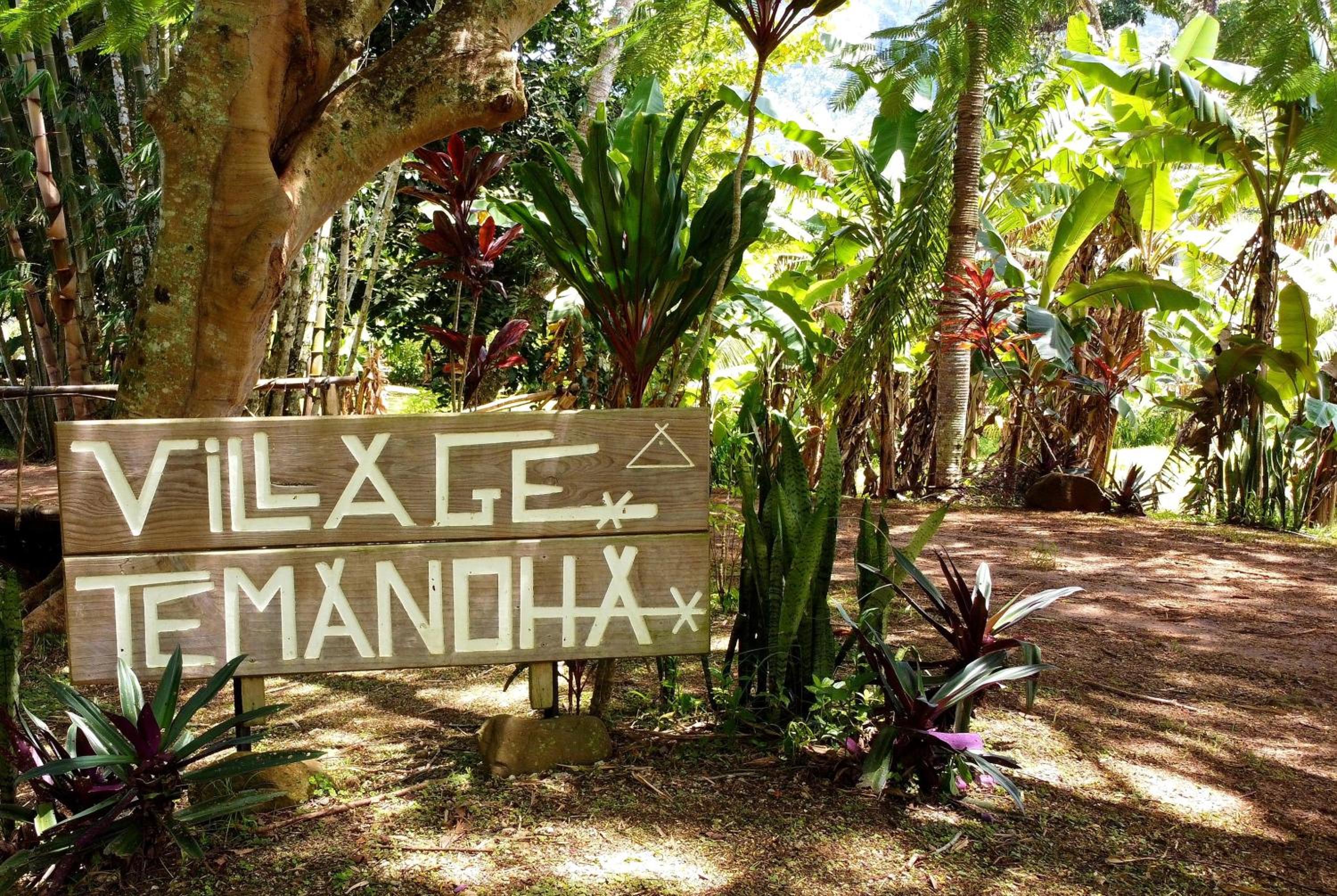 Eco Lodge Village Temanoha view 2