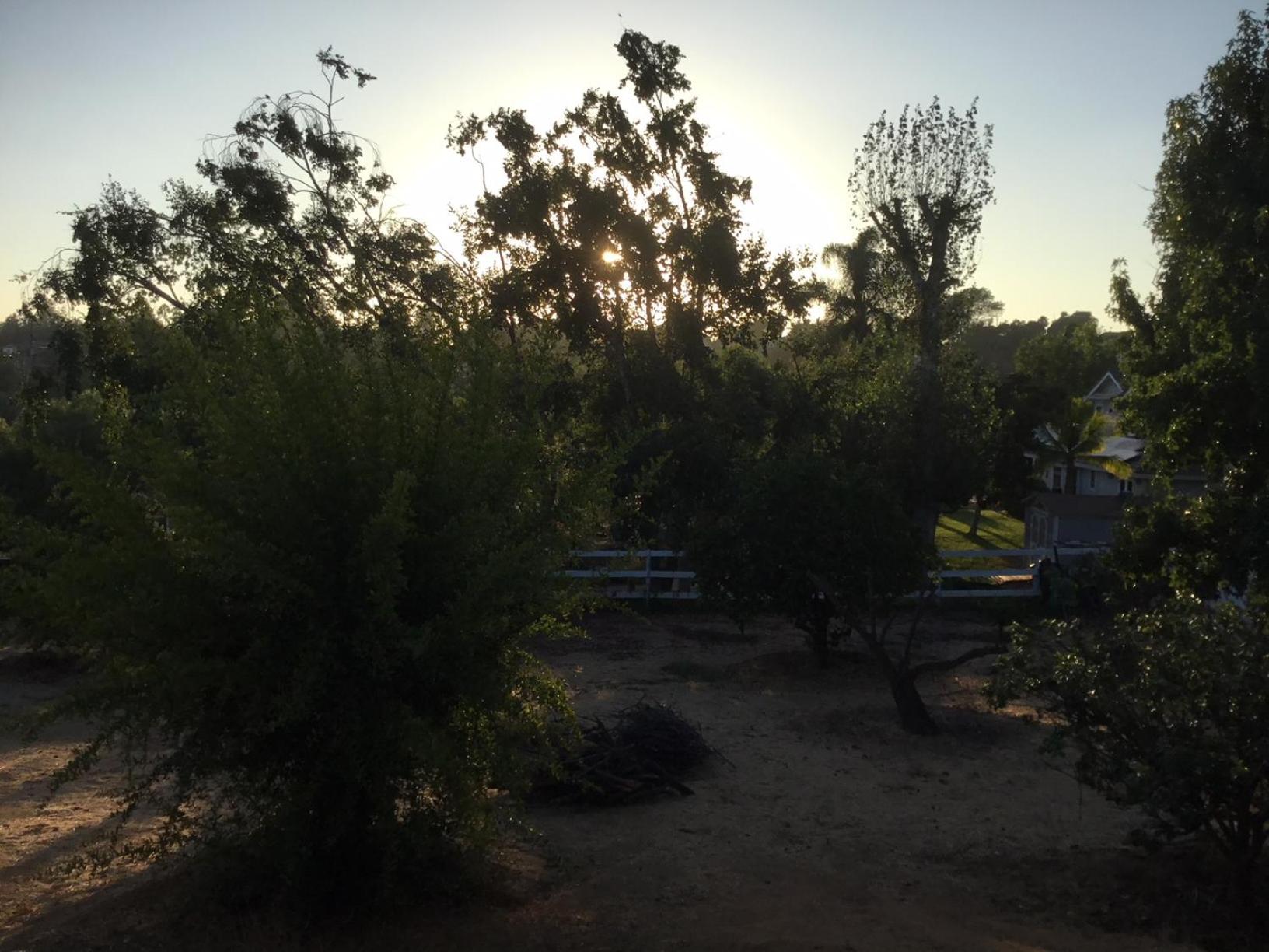 Beautiful new detached casita nestled in scenic southern CA foothills! view 3