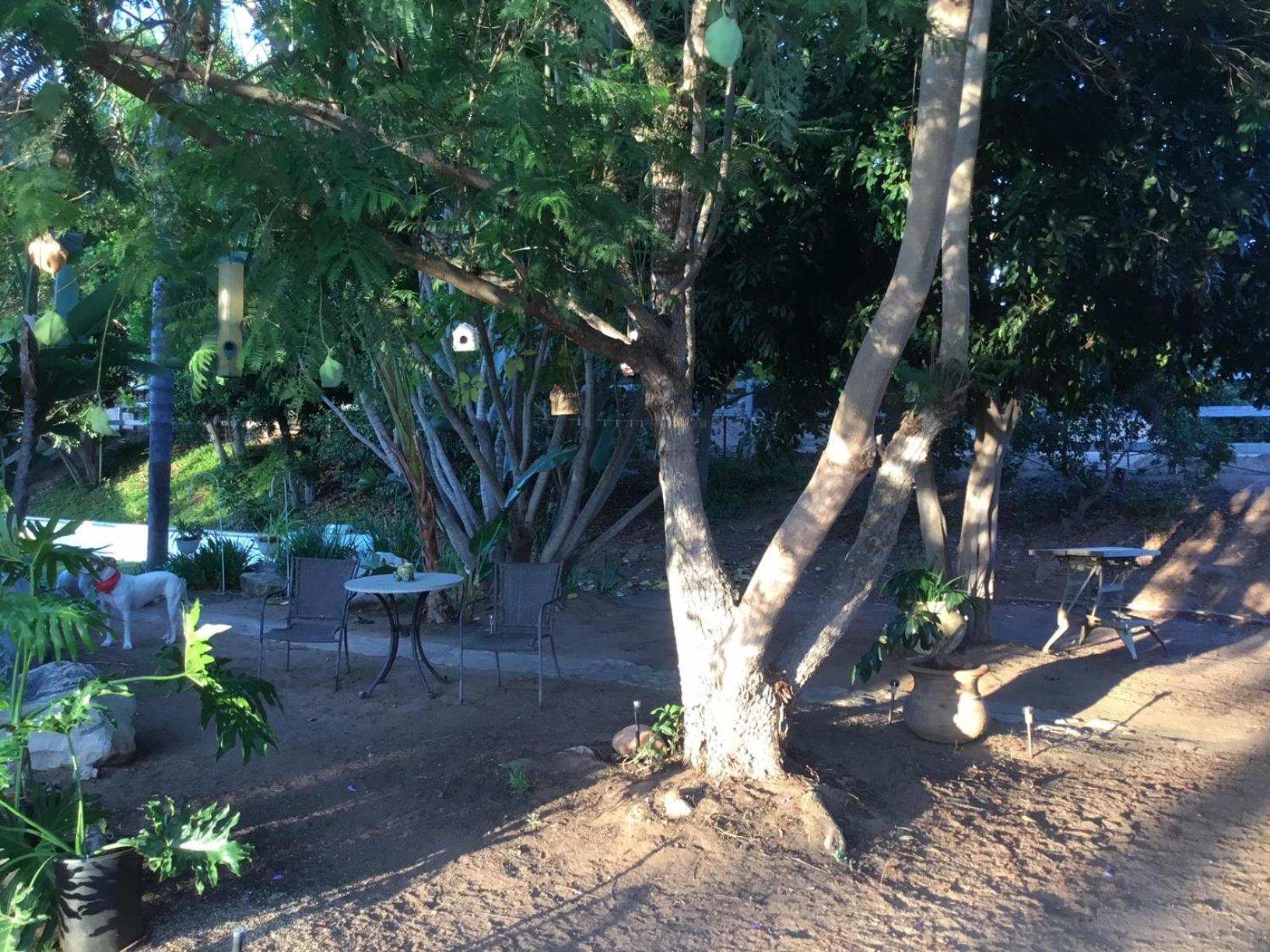 Photo 21