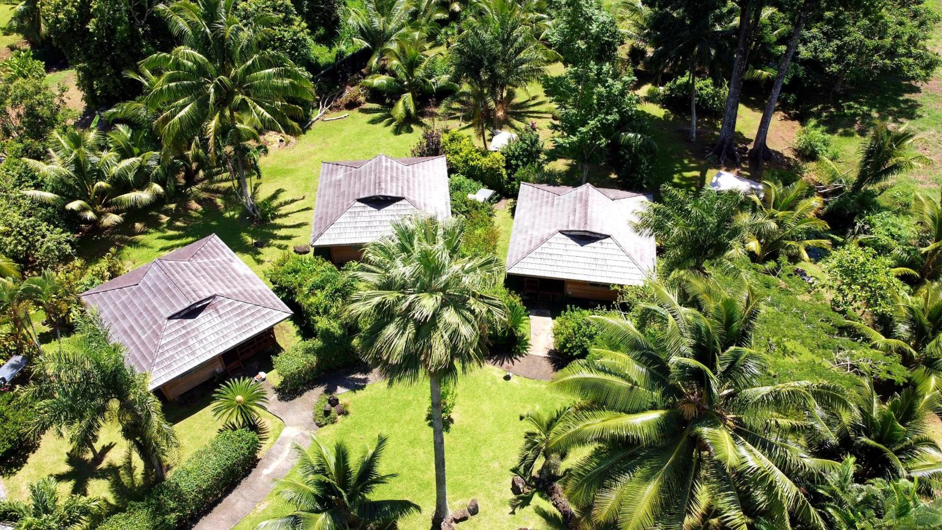 Eco Lodge Village Temanoha view 4
