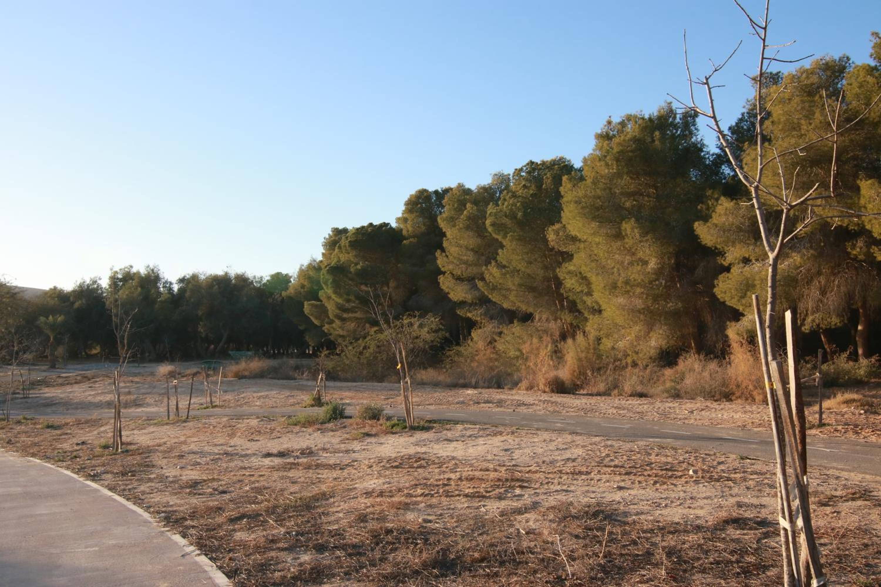 עדן במדבר - eden in desert, photo 9