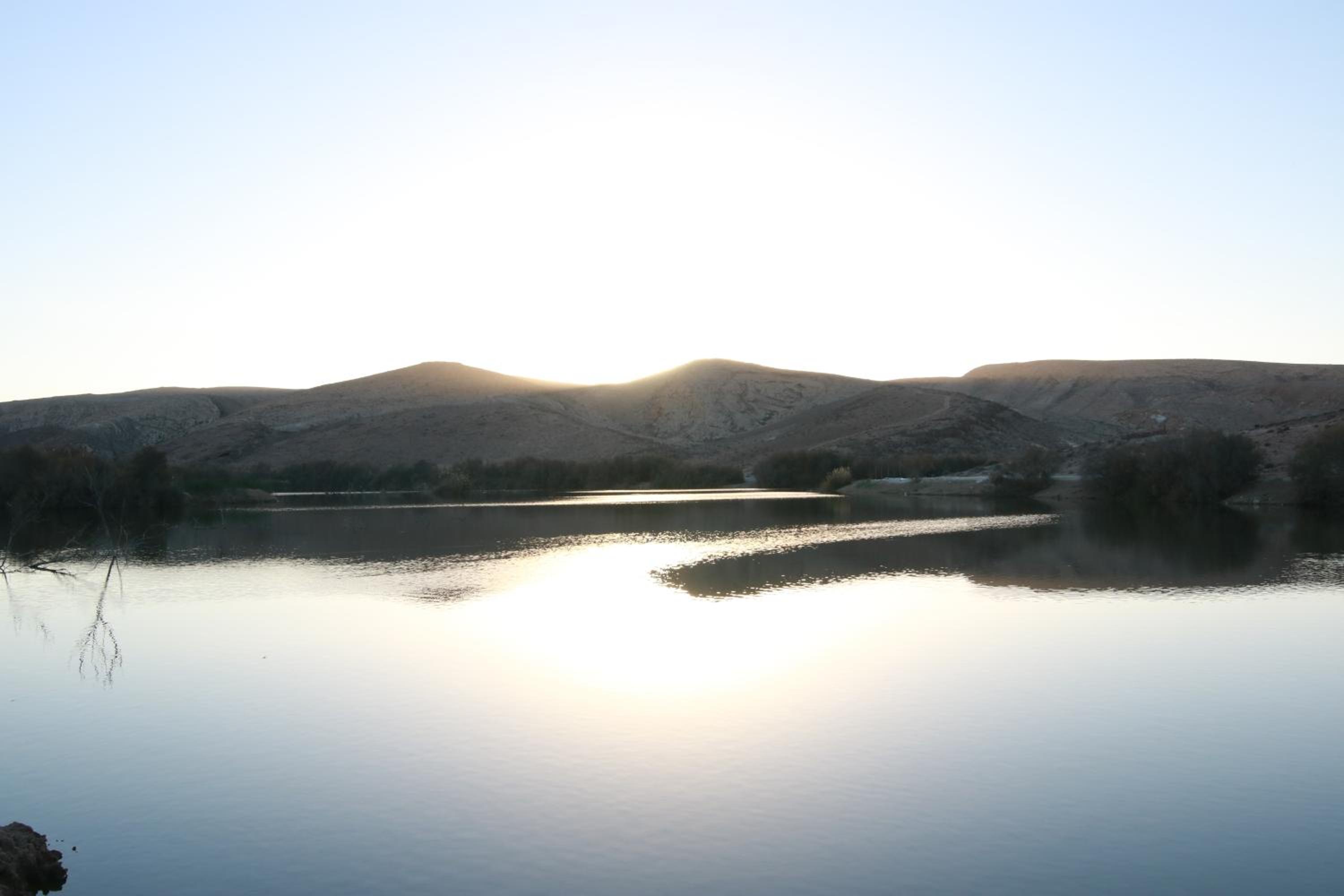 עדן במדבר - eden in desert, photo 18