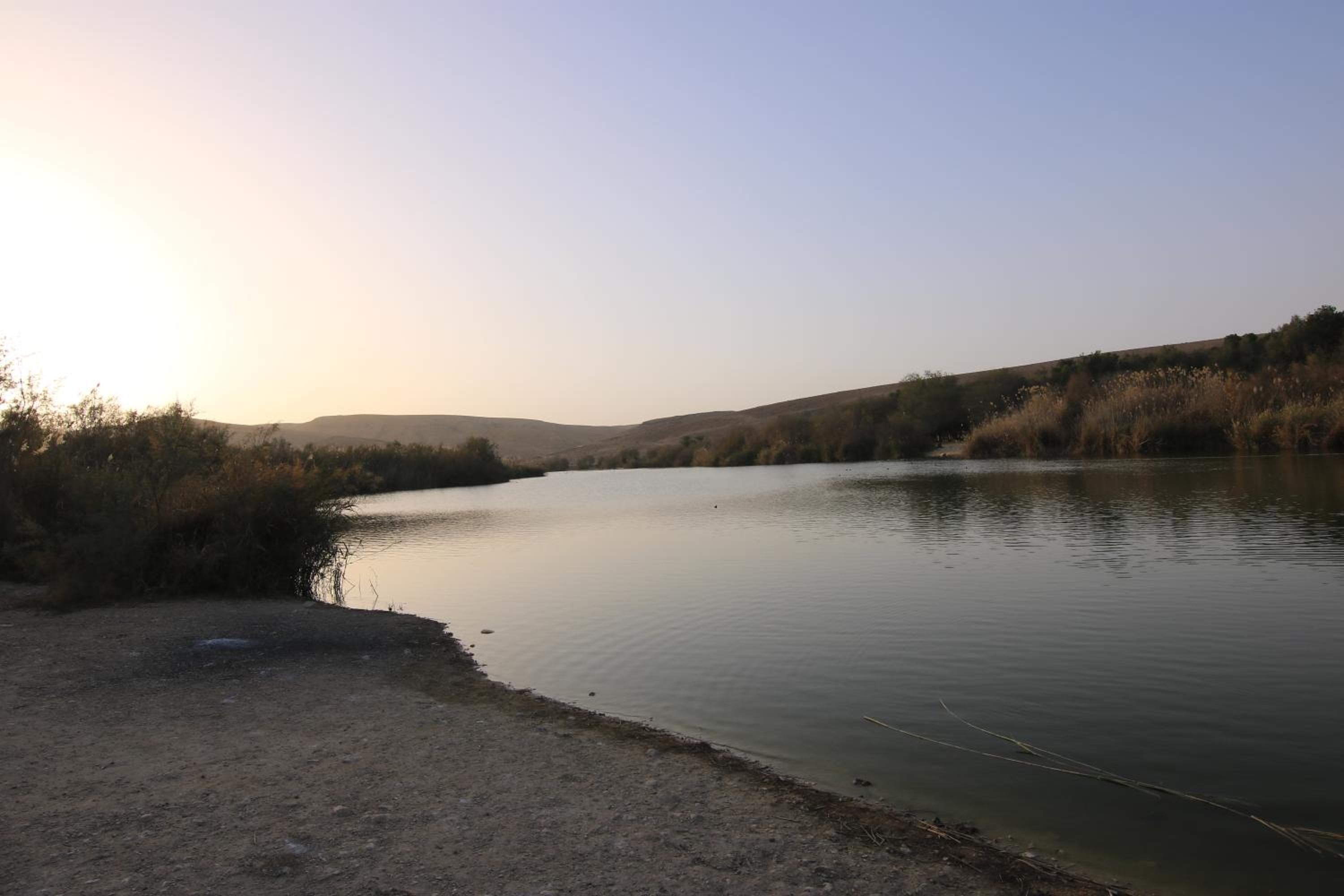 עדן במדבר - eden in desert, photo 20