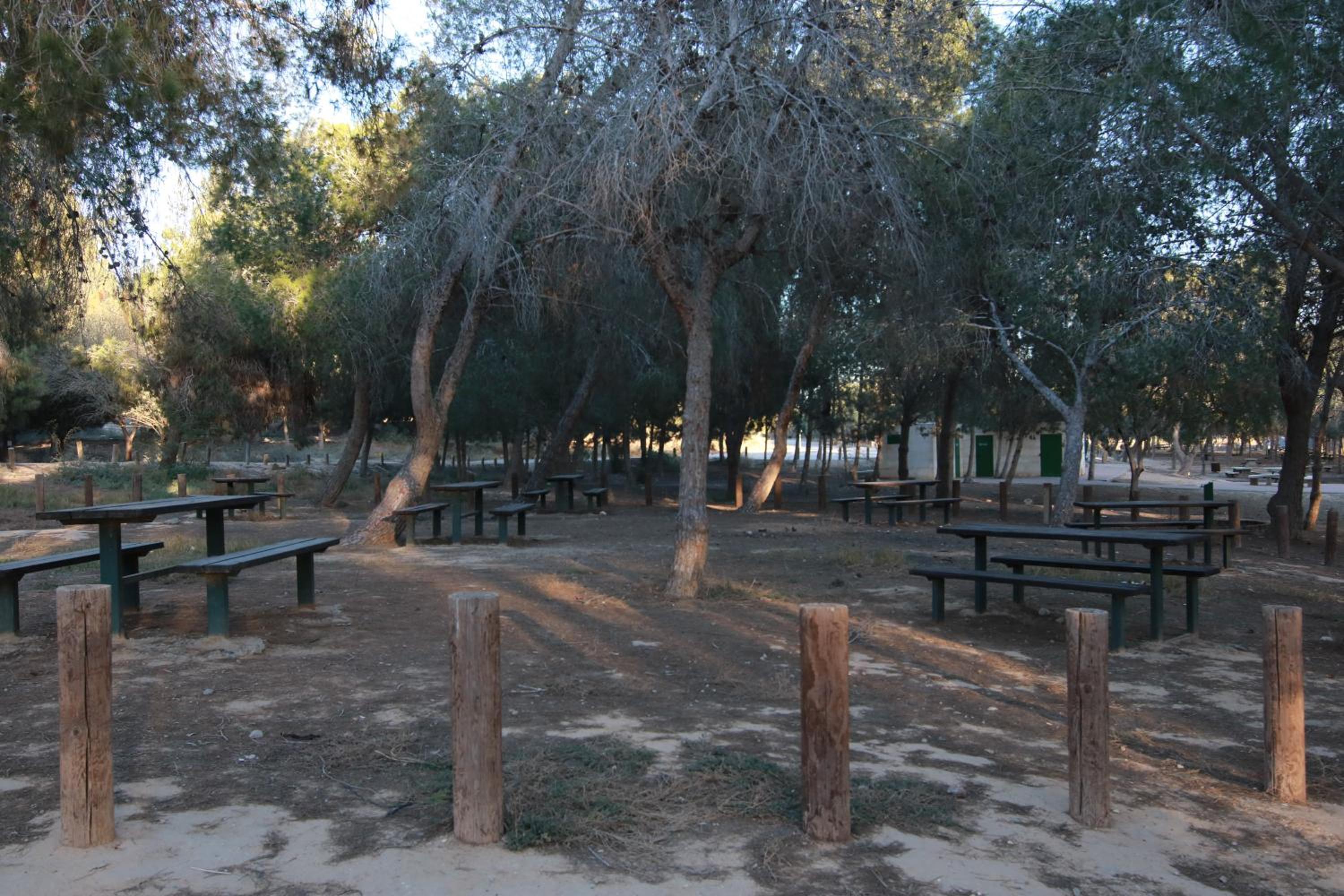 עדן במדבר - eden in desert, photo 29