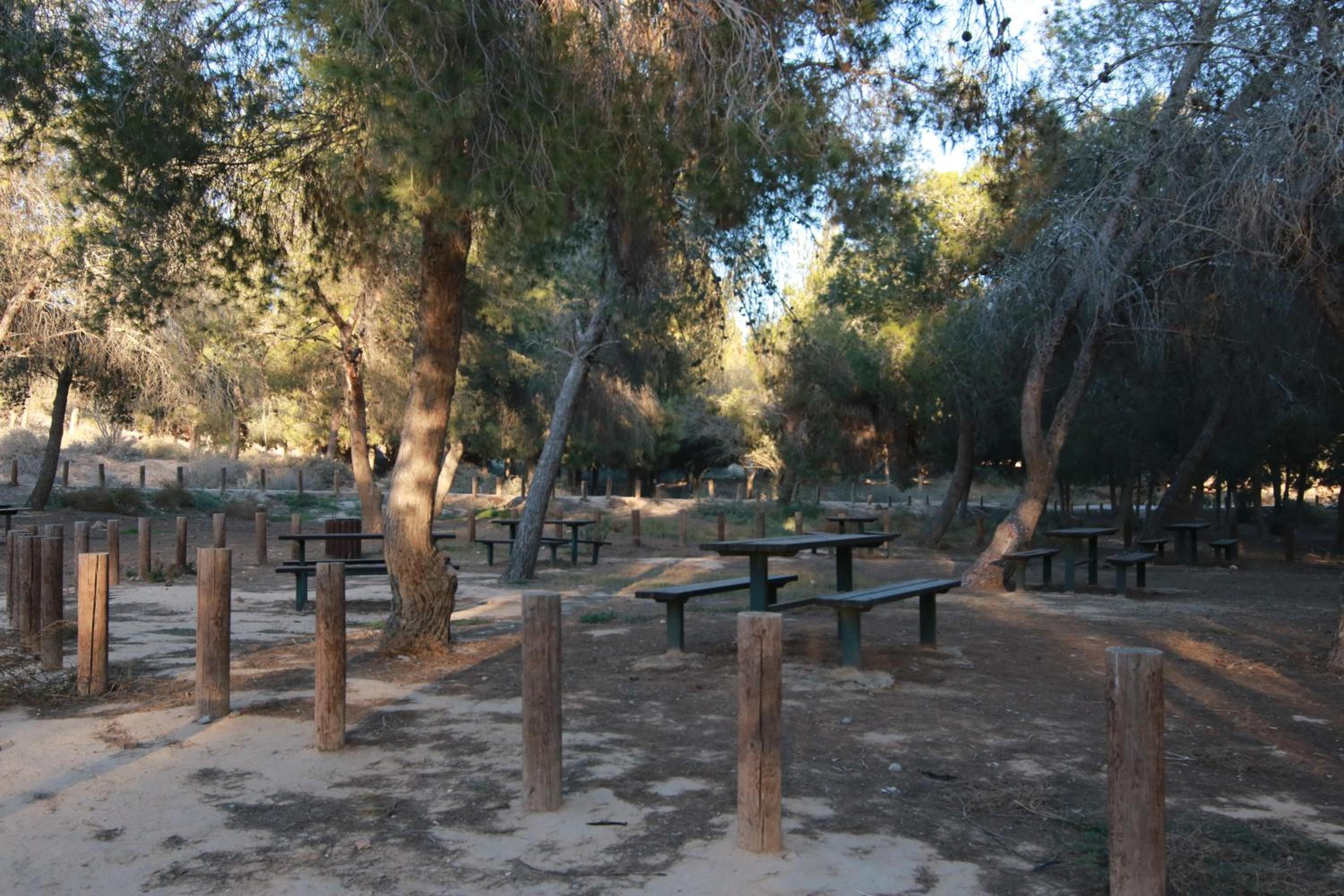 עדן במדבר - eden in desert, photo 31