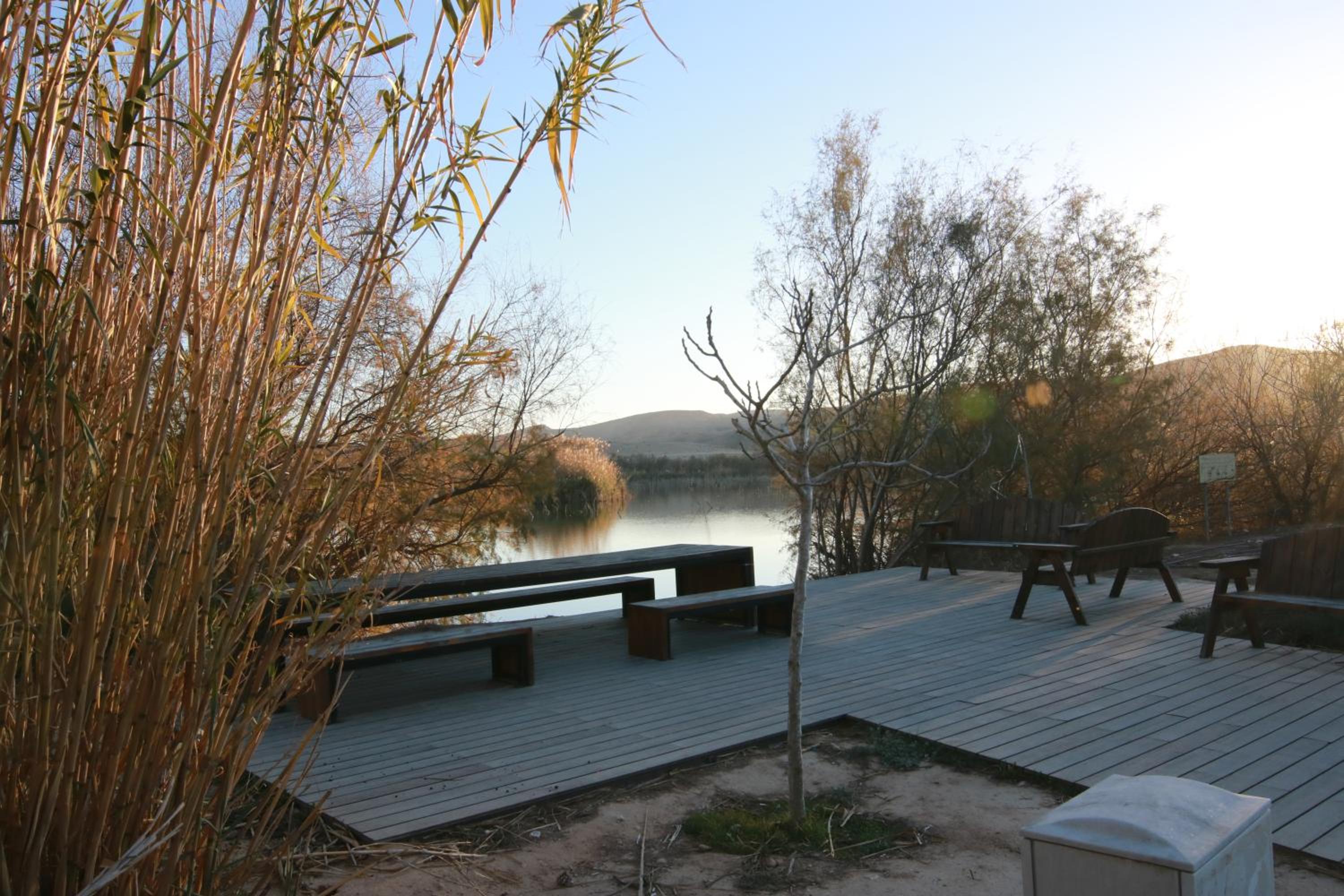 עדן במדבר - eden in desert, photo 35