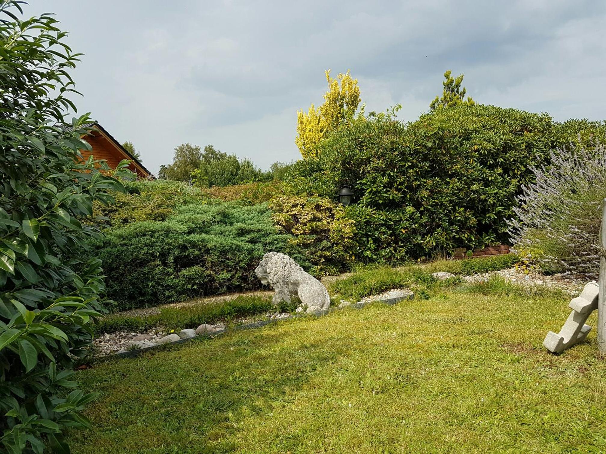 Photo 25