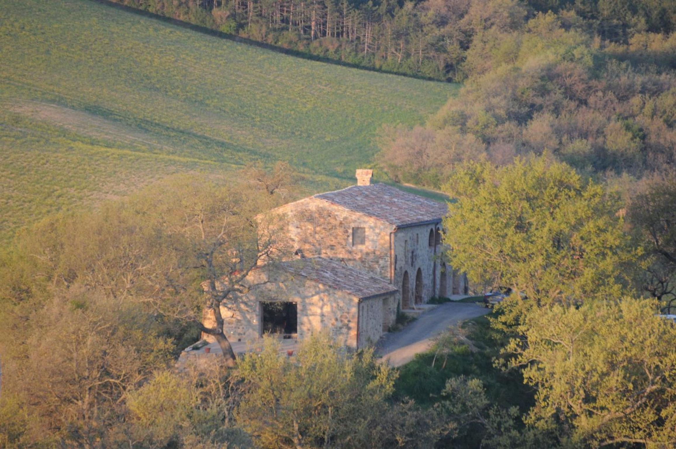 Podere Palazzo view 5