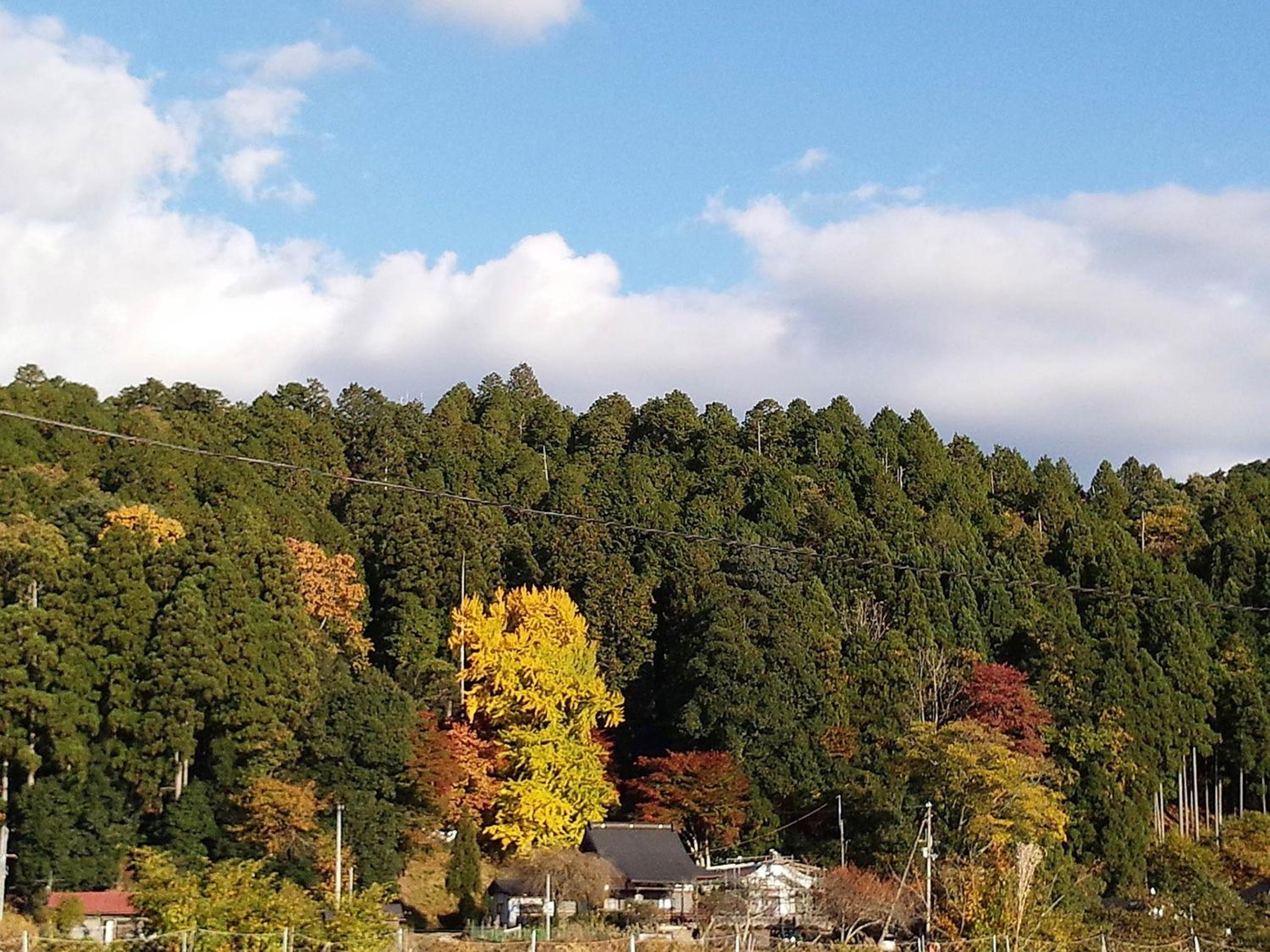 Tokuheian