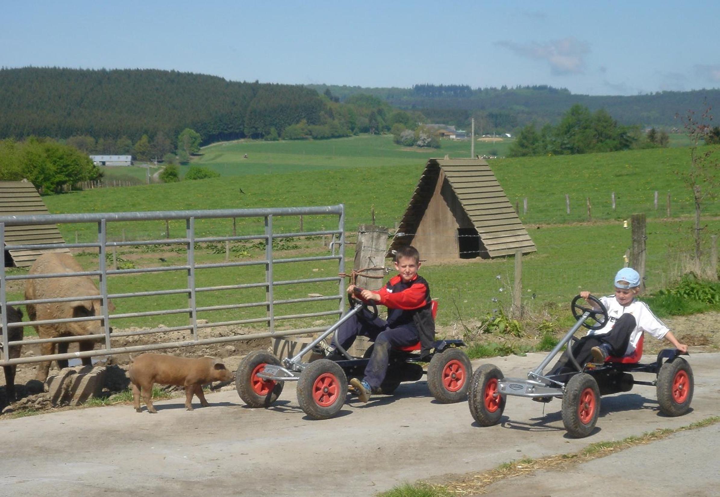 Gîte Ferme d'Ortie