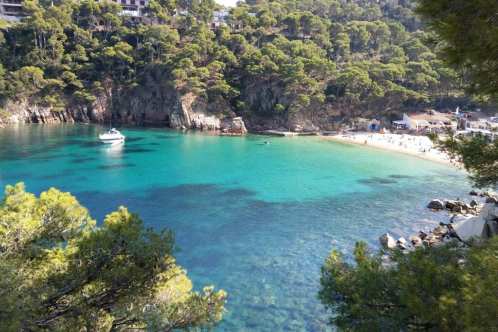 Sea Views & Private Pool in Begur, Costa Brava. photo 5