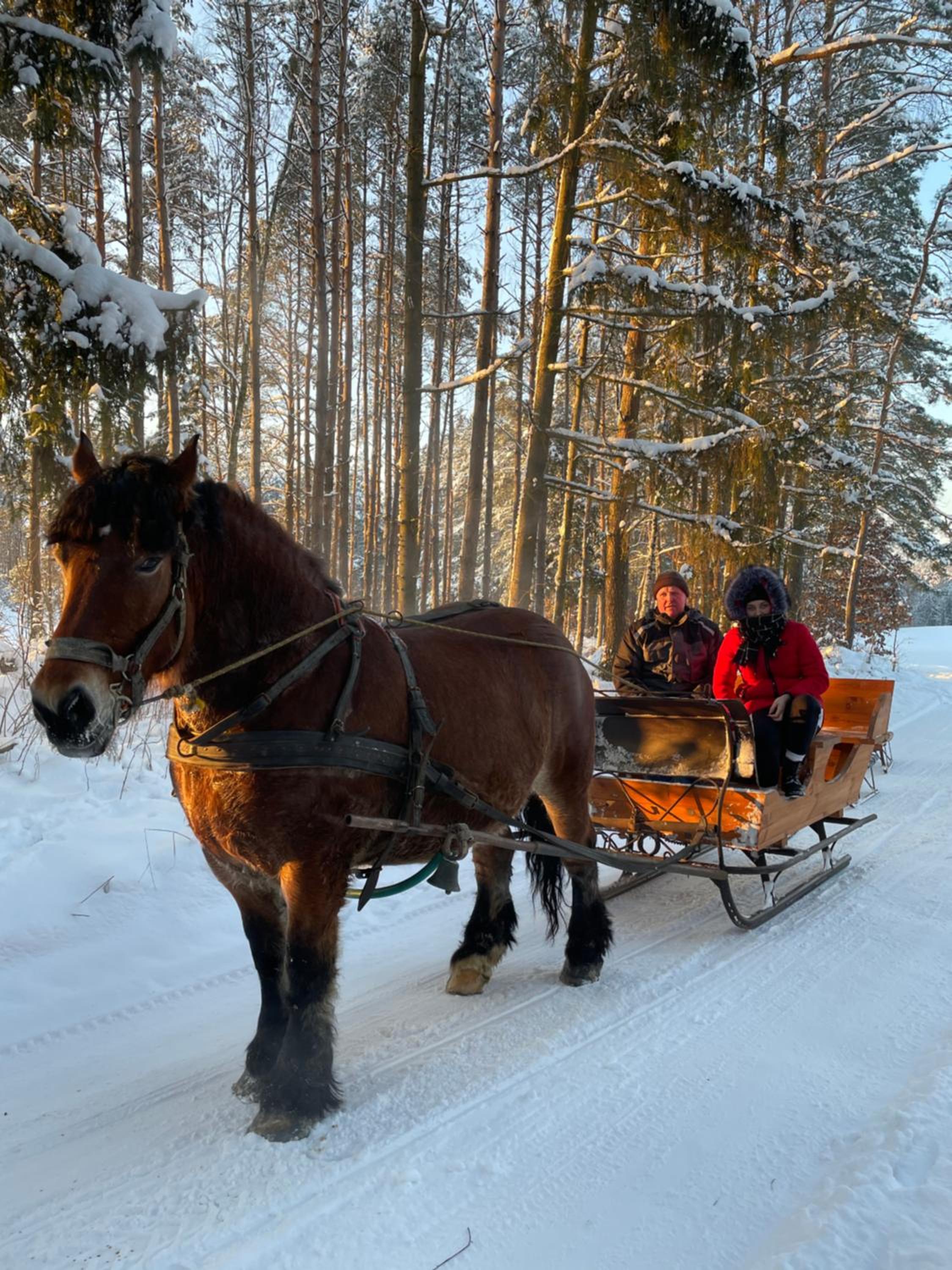 Pogodna Zagroda-Dom na Kaszubach & Strefa Spa