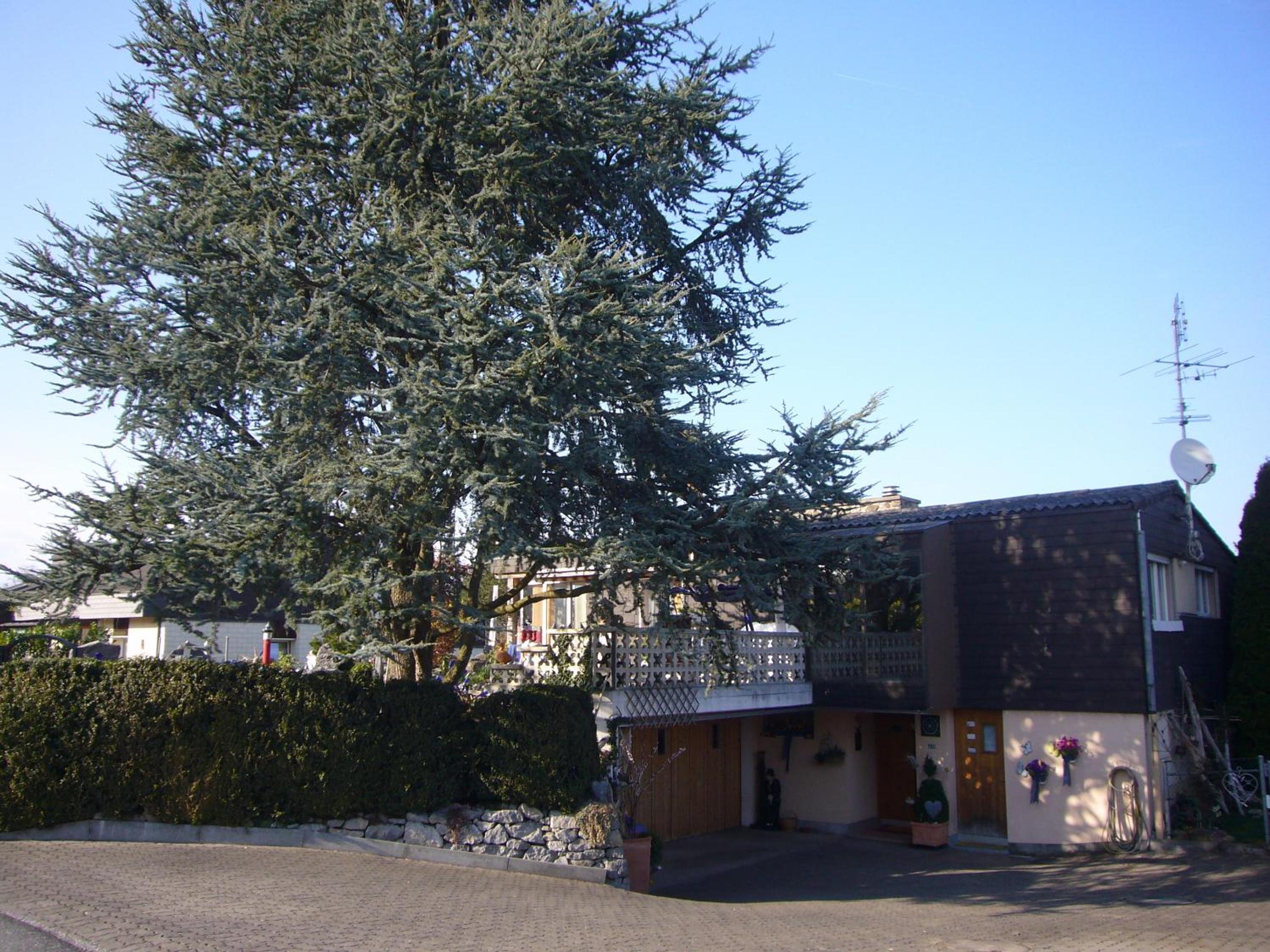 Reni's Oase am Bodensee