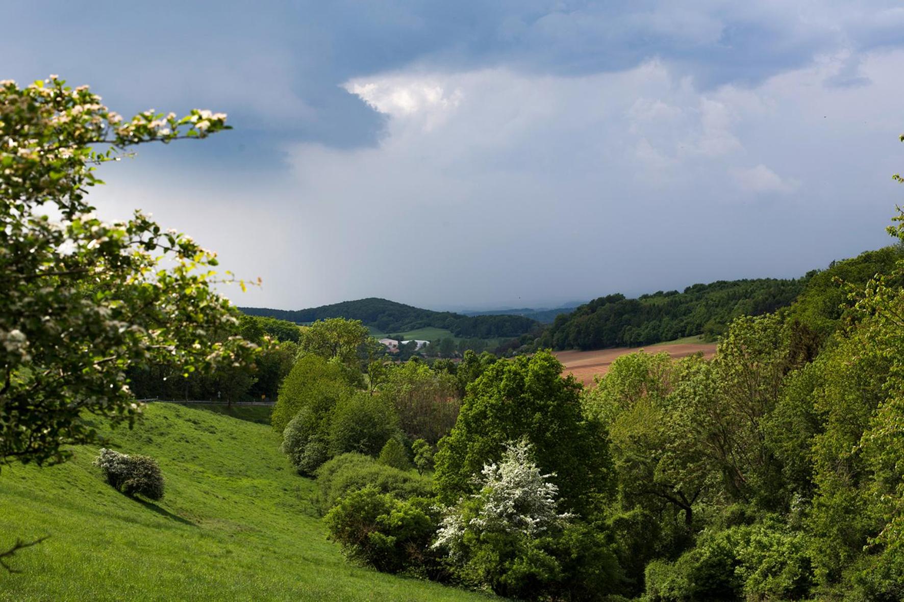 Pension Schloss Heringen